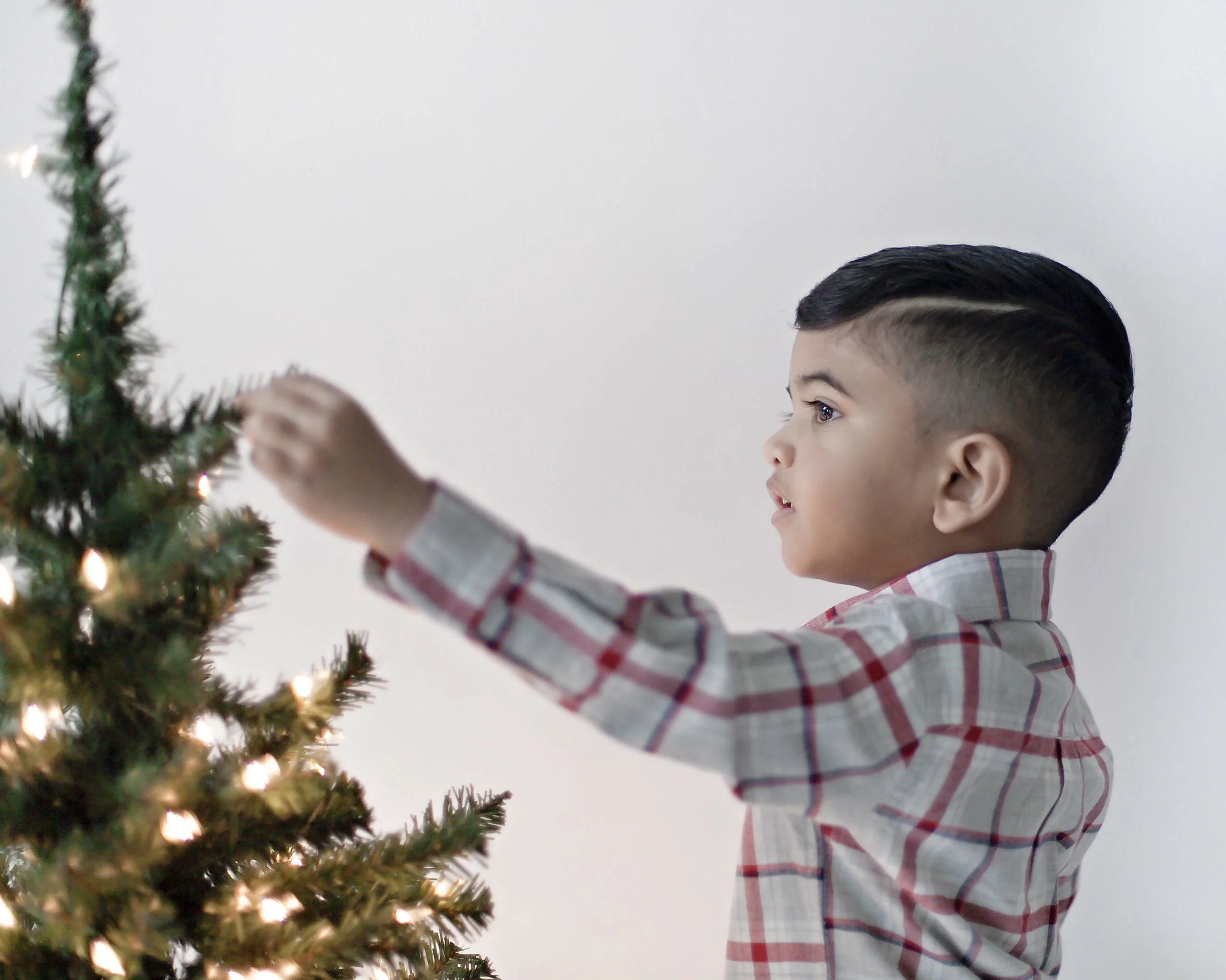 Family Portrait Photography