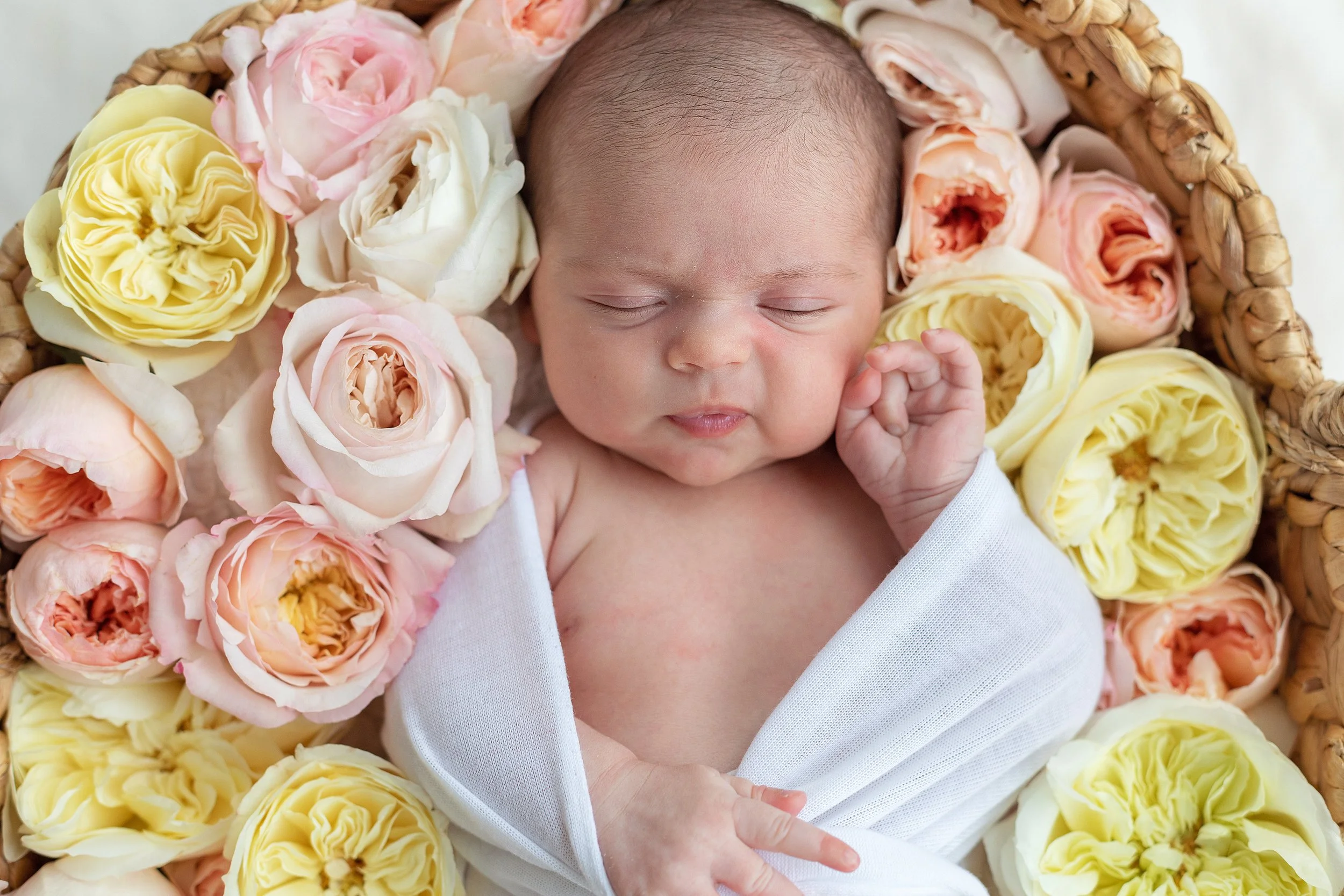 Floral newborn session in Oshawa studio