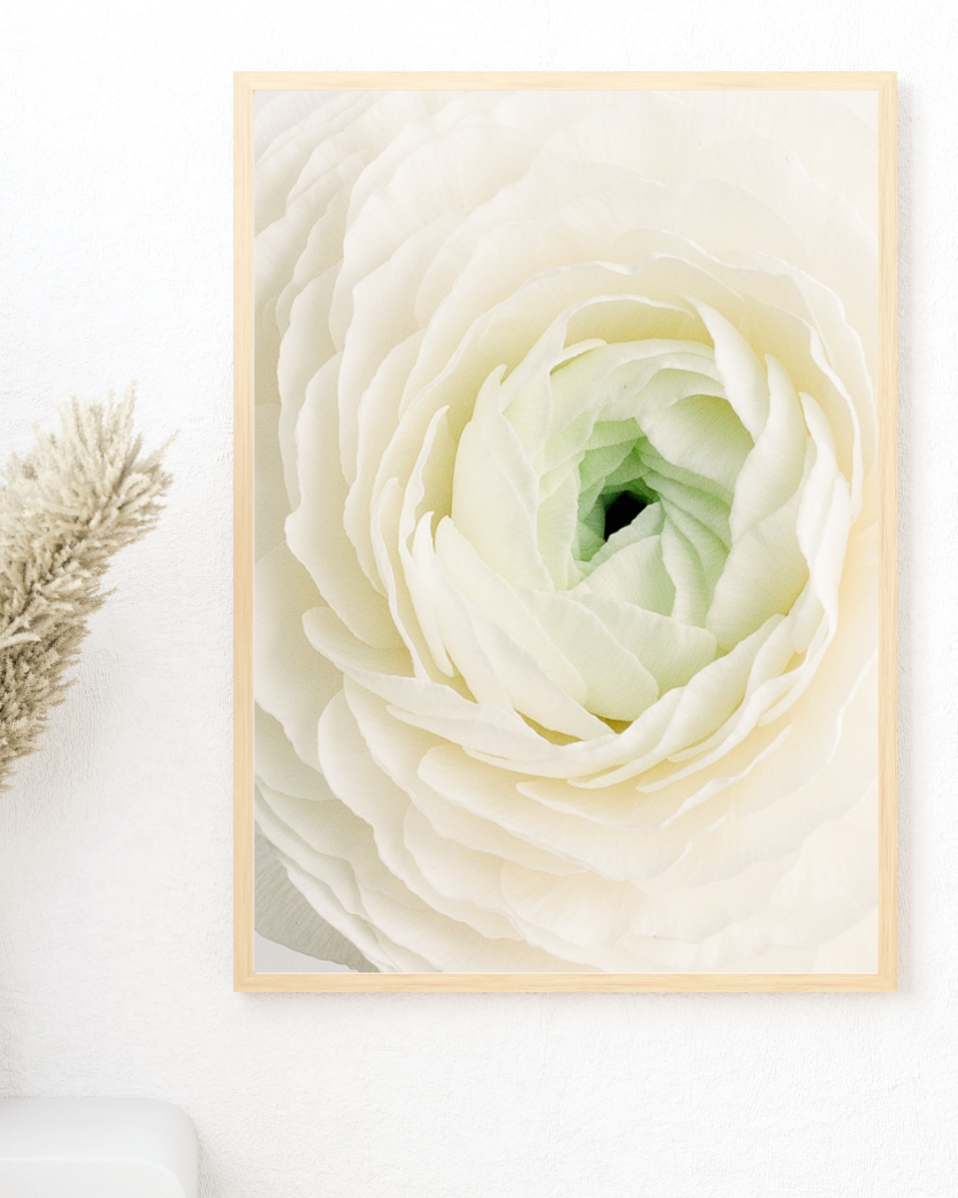 White Ranunculus Print Mockup