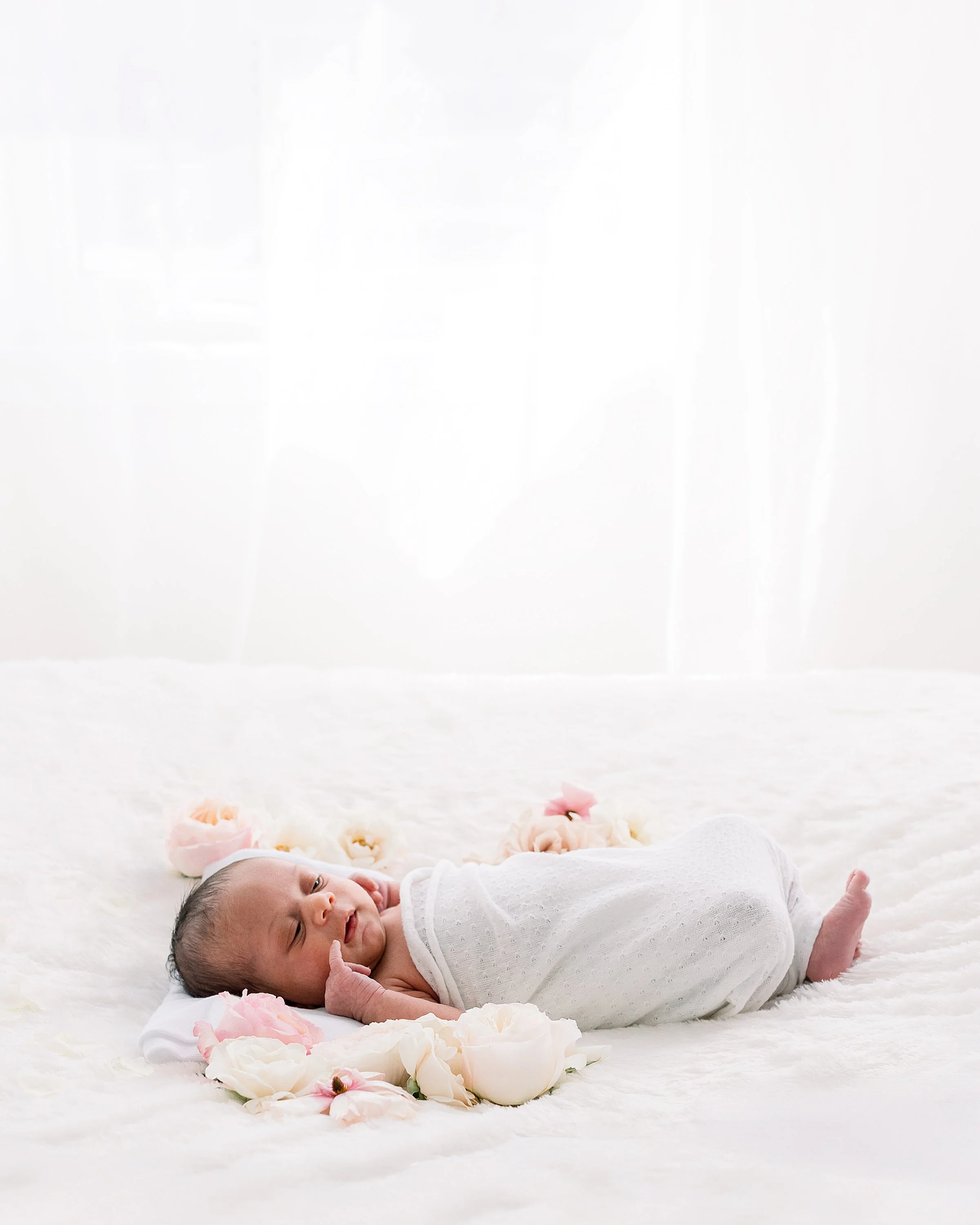 Luxury Newborn photoshoot with flowers in Oshawa
