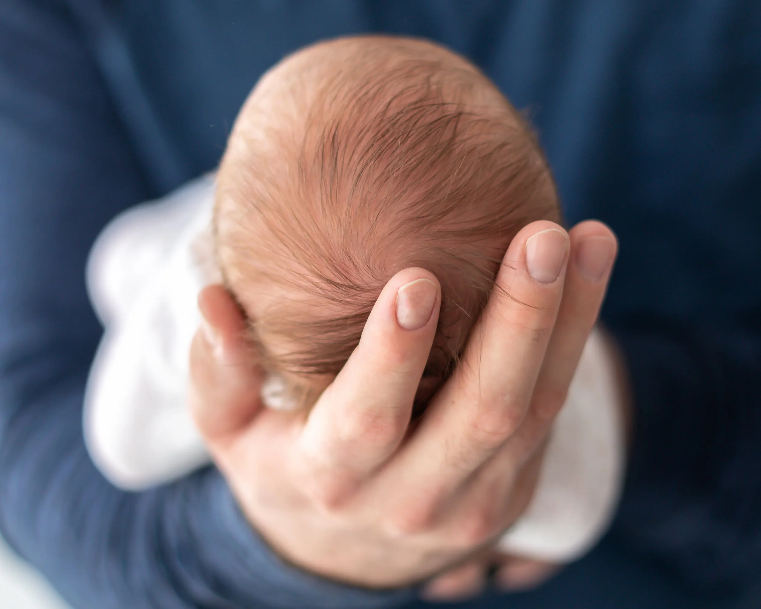 Dad holding newborn baby in hands