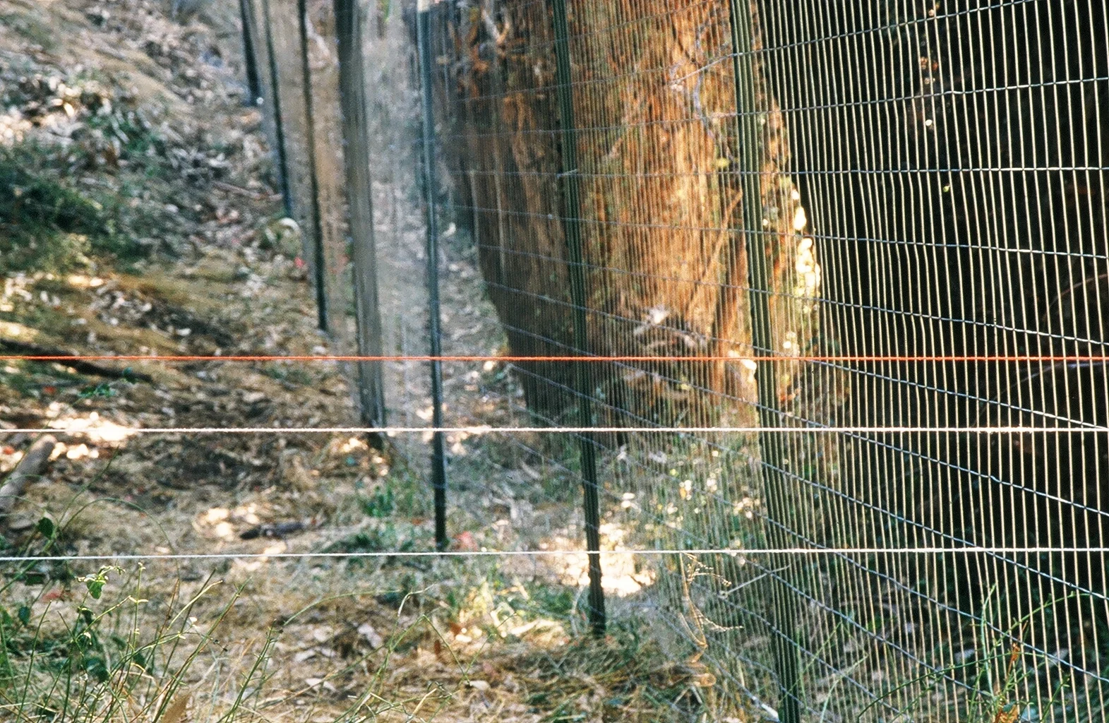 03240016.JPG
