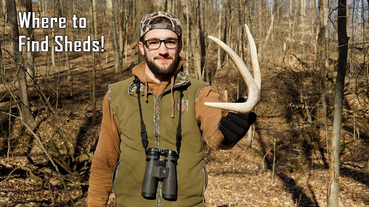 The Tailgate Talk Podcast E2 - How to Find More Shed Antlers and Where to Look 