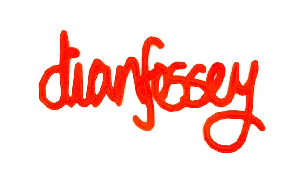 dianFosseyNoBackground.jpg