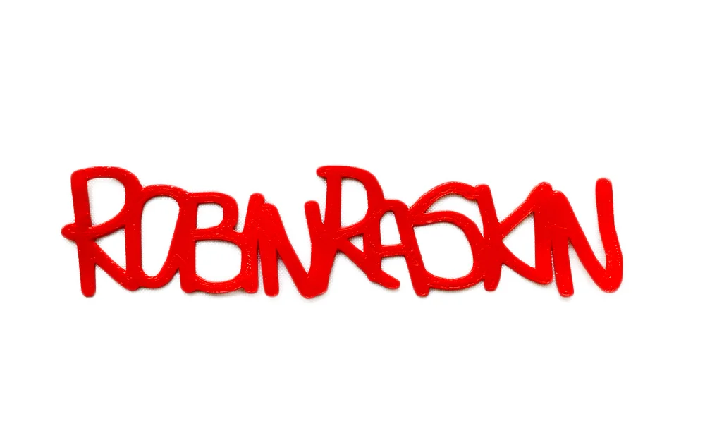 robinRaskinNoBackground.jpg