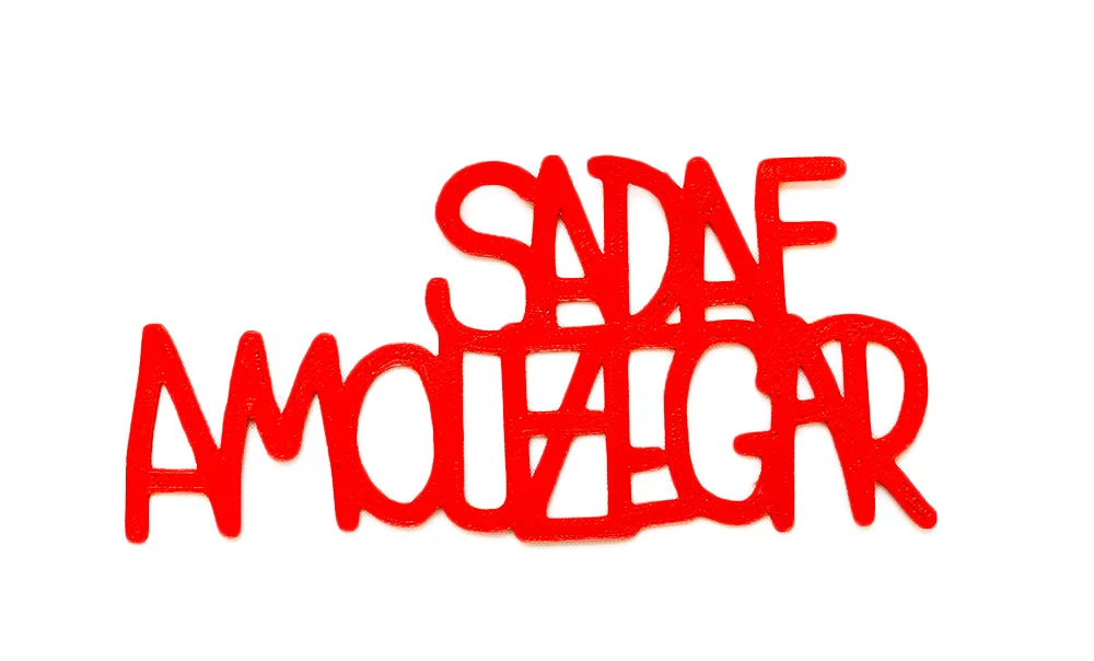sadafAmouzegarNoBackground.jpg