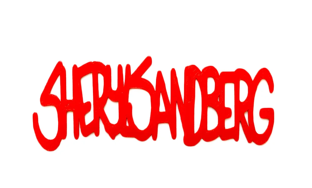 sherylSandbergNoBackground.jpg