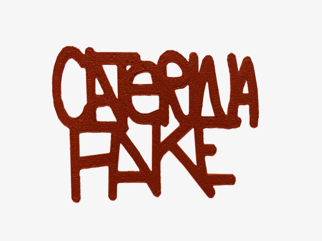 Caterina Fake.jpeg
