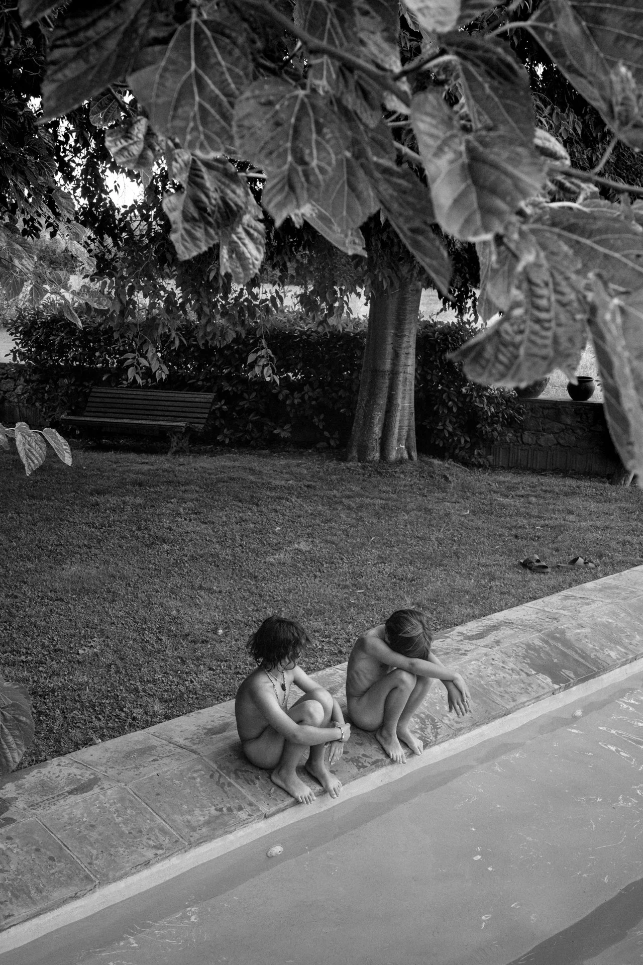 _R002464.jpg