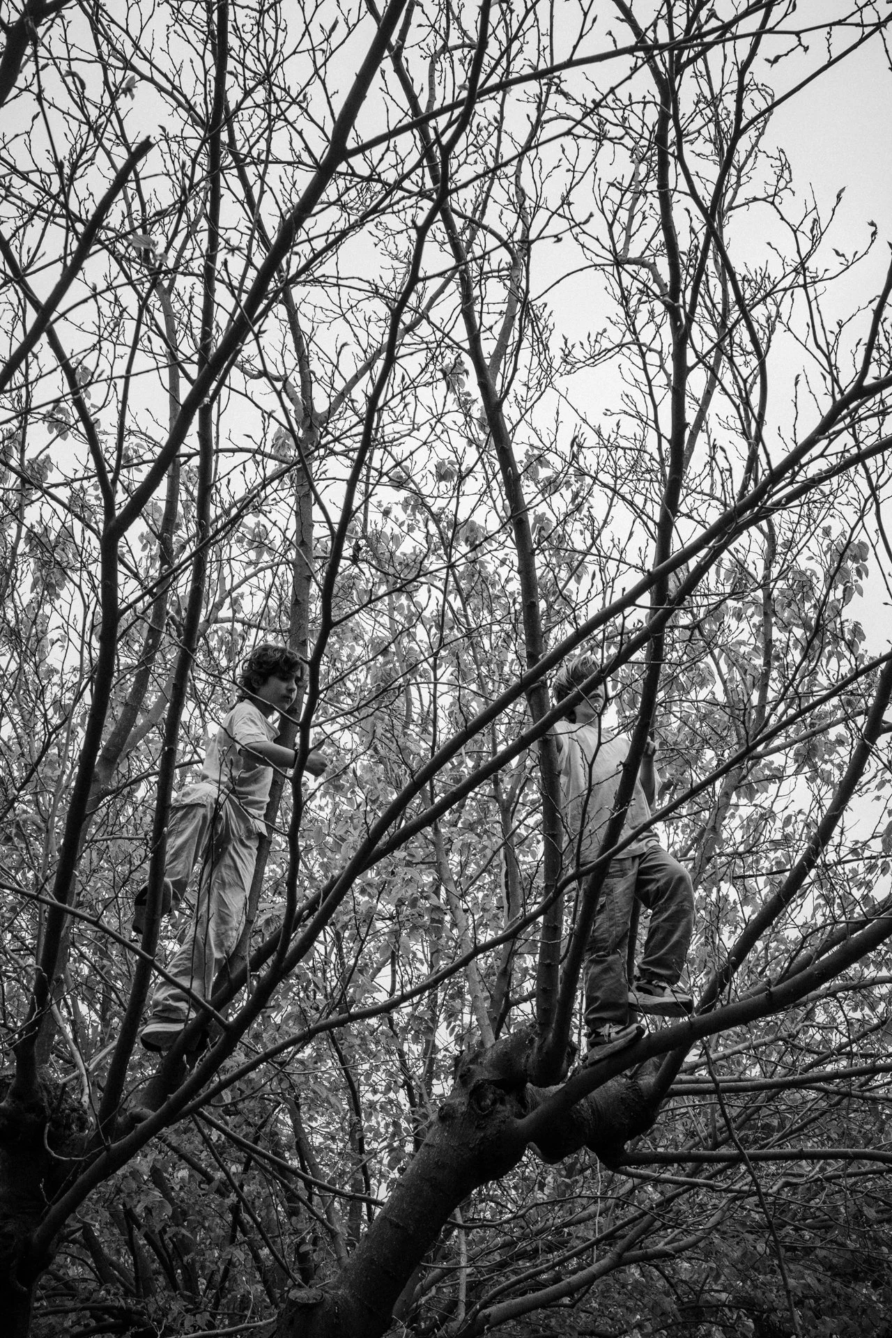 _R009240.jpg
