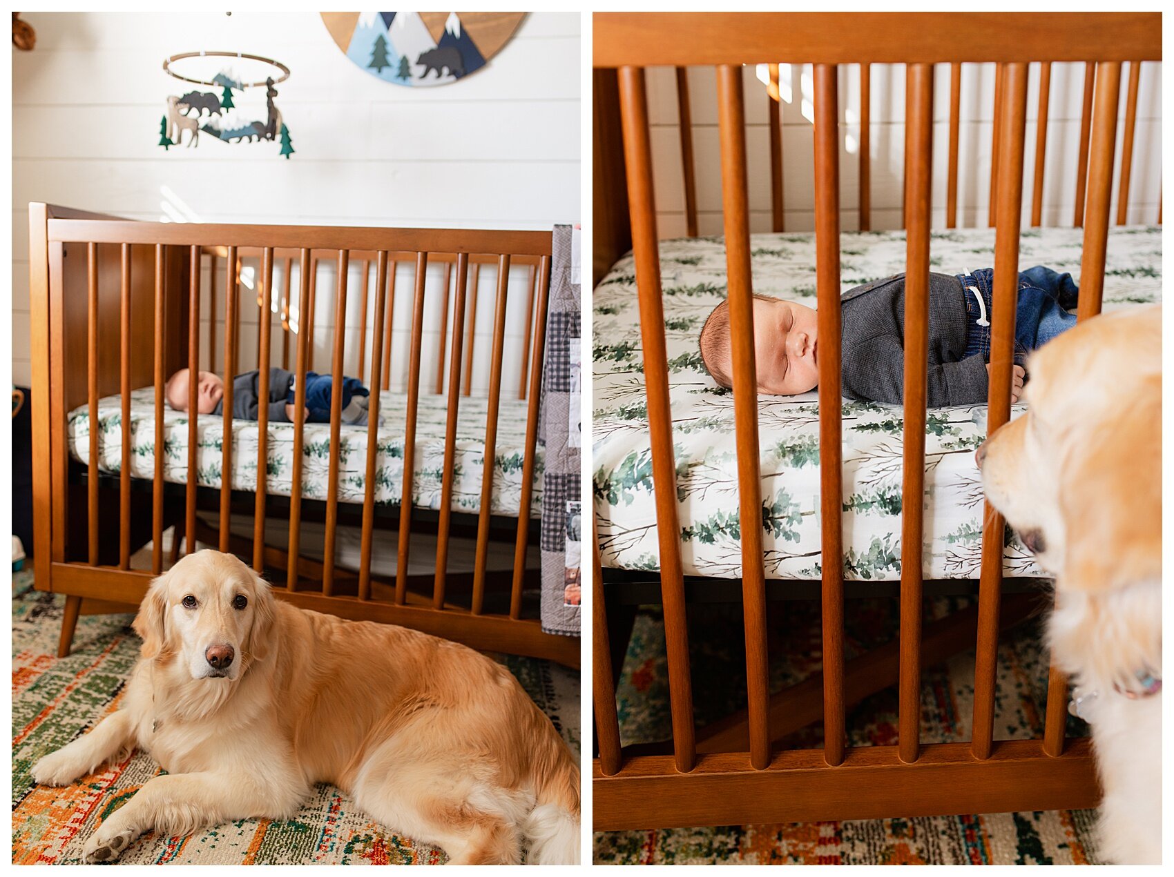 Baby and Dog Crib Photo