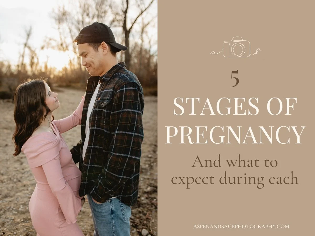 The 5 Stages of Pregnancy and What to Expect During Each | Boise Idaho Maternity Photographer