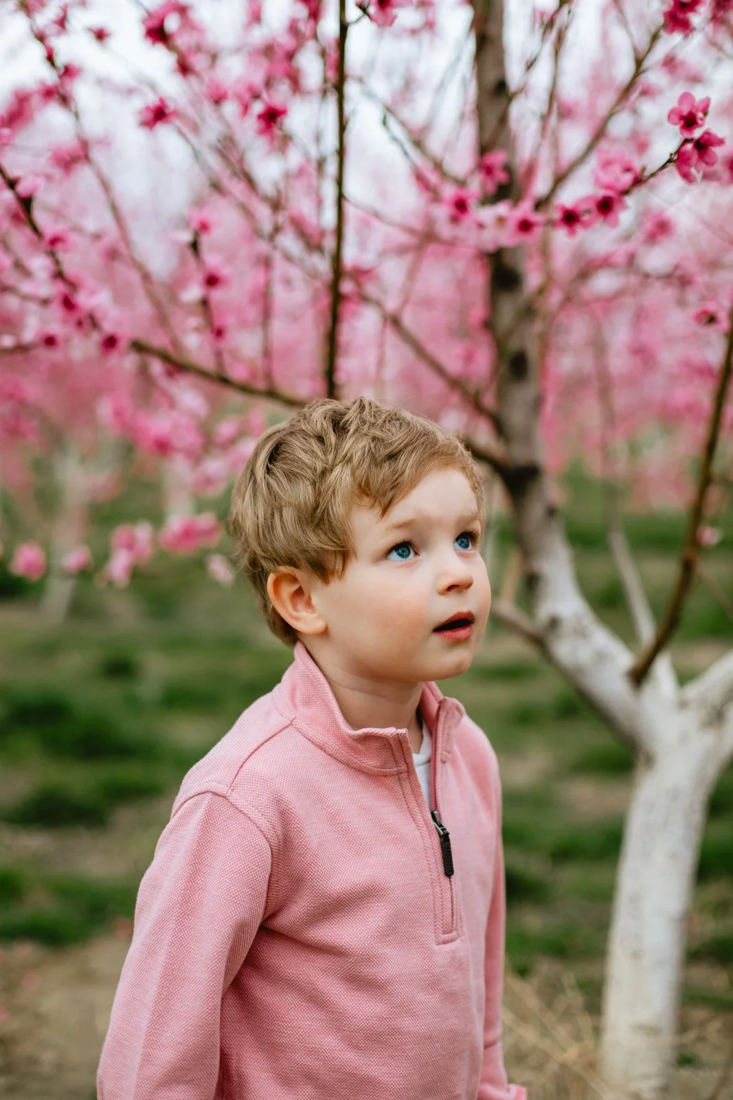 Boise Maternity Photographer-6.jpg