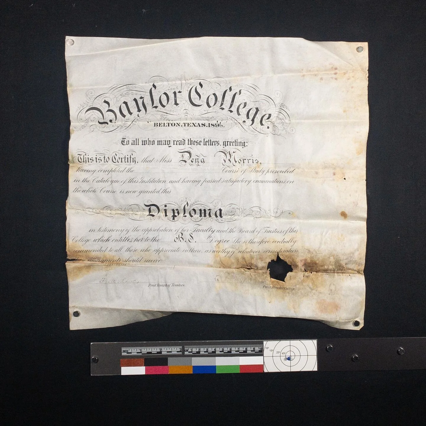 Parchment diploma before &amp; after .
.
.
#mconservation #artconservation #paperconservation #restoration #documents #historicpreservation