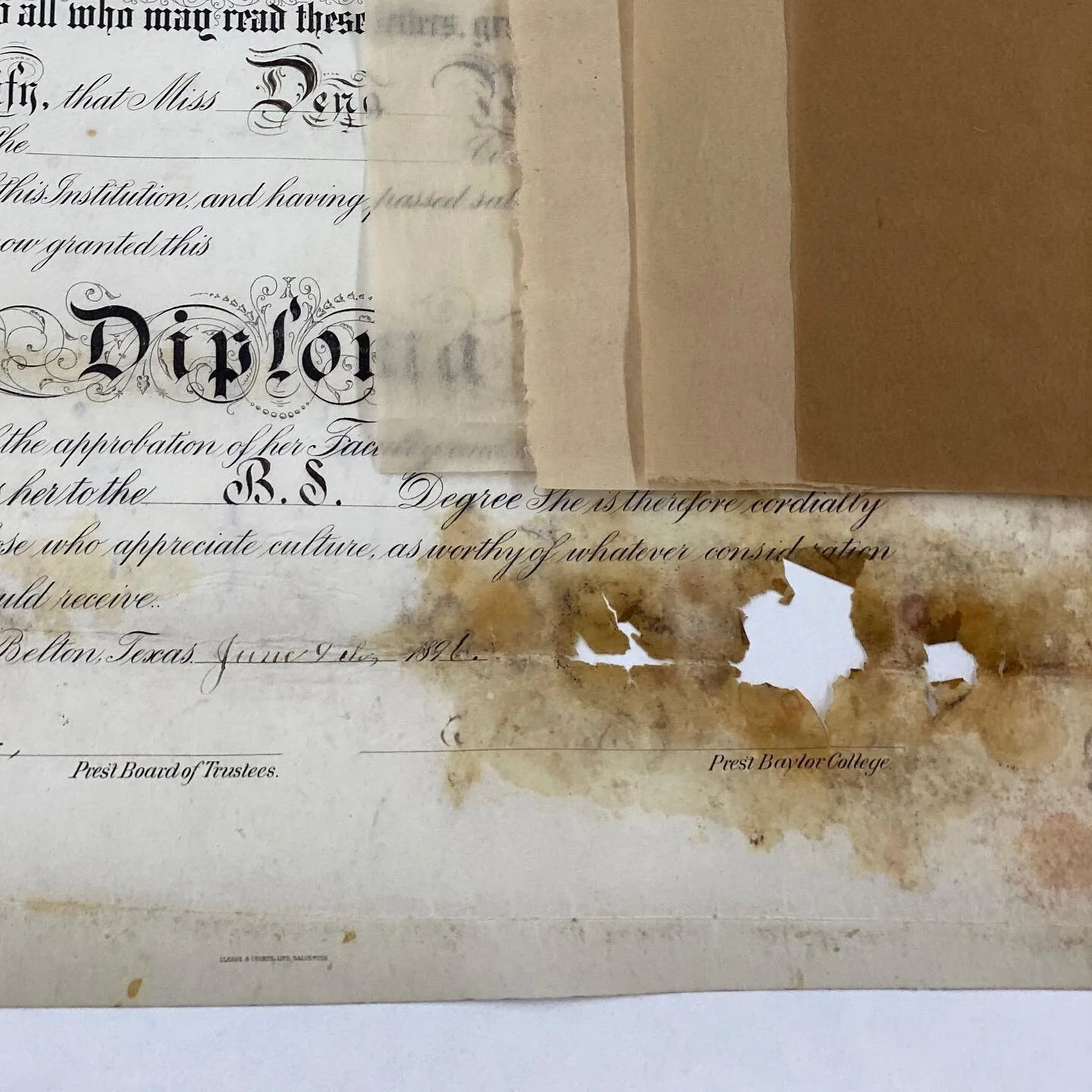 Selecting which Japanese paper would best suite the loss in this parchment diploma from 1896. Layering of two Japanese paper will likely be most appropriate
.
.
.
#mconservation #paperconservation #artconservation #restoration #documents #history #hi