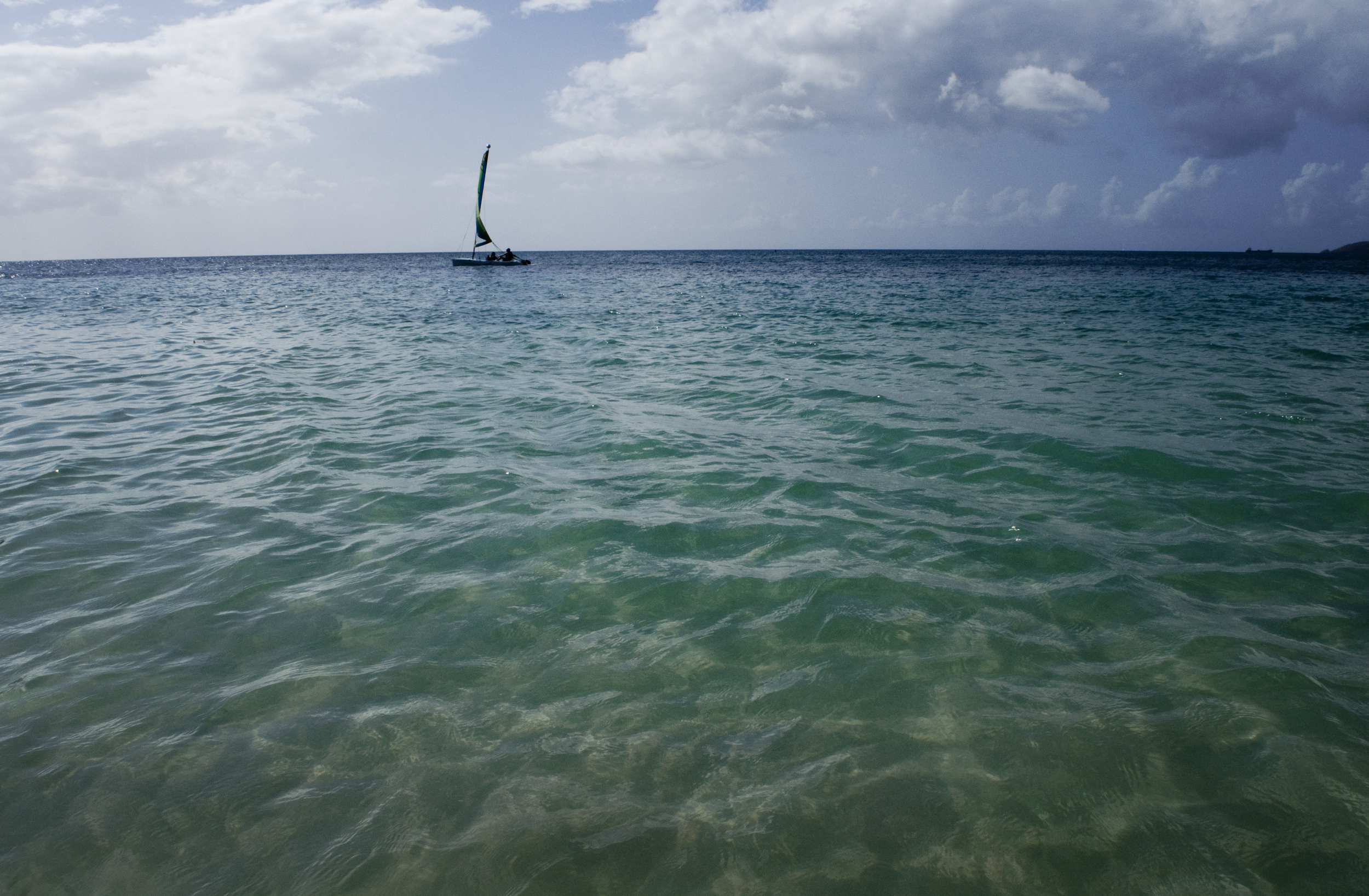 DSC_4217.png