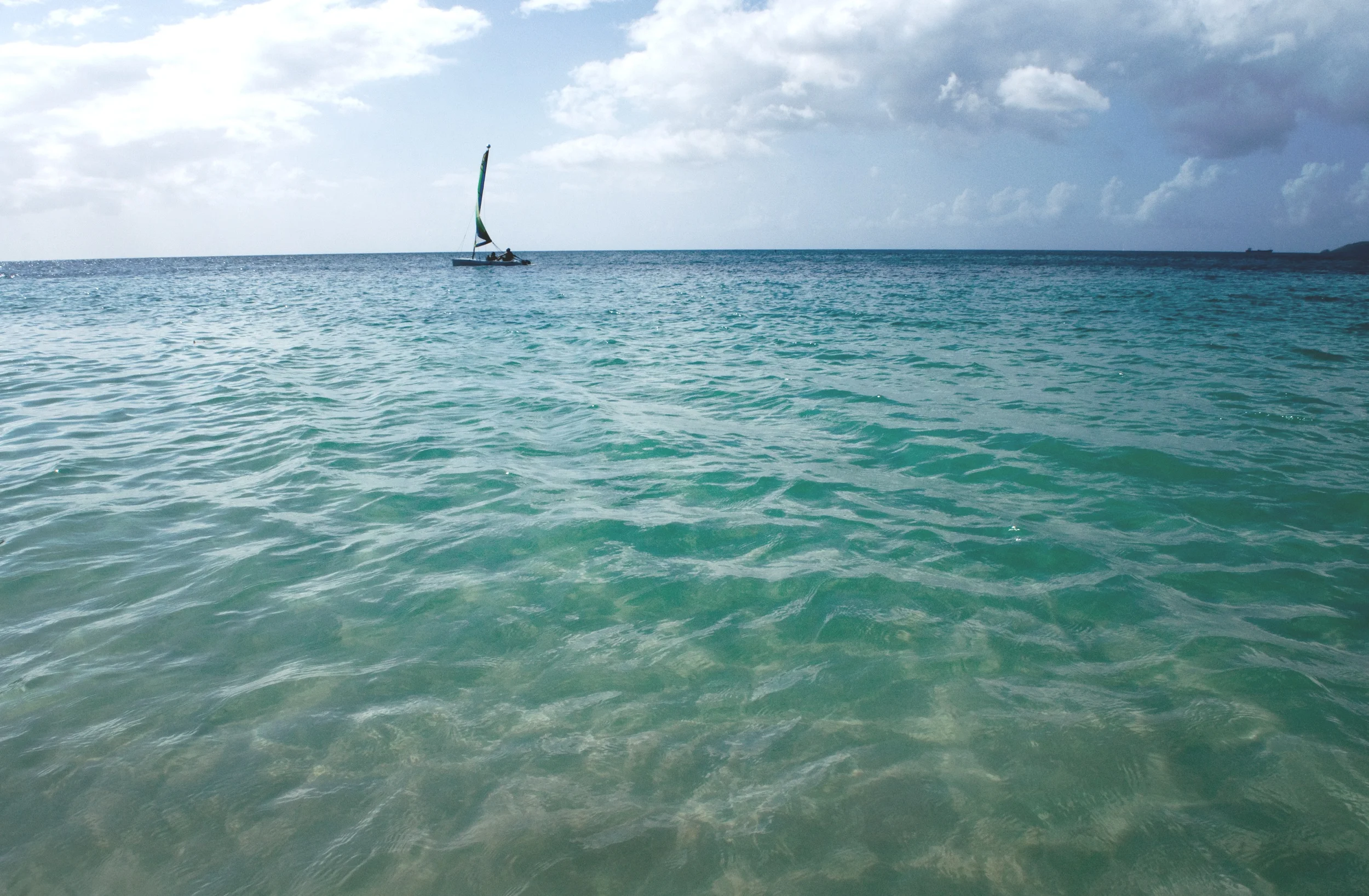 DSC_4217.jpg