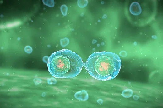 cell_division.jpg