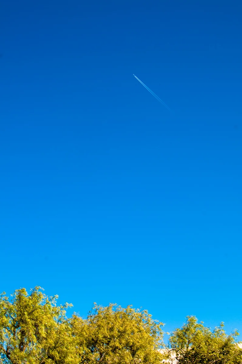 _DSC4116.jpg