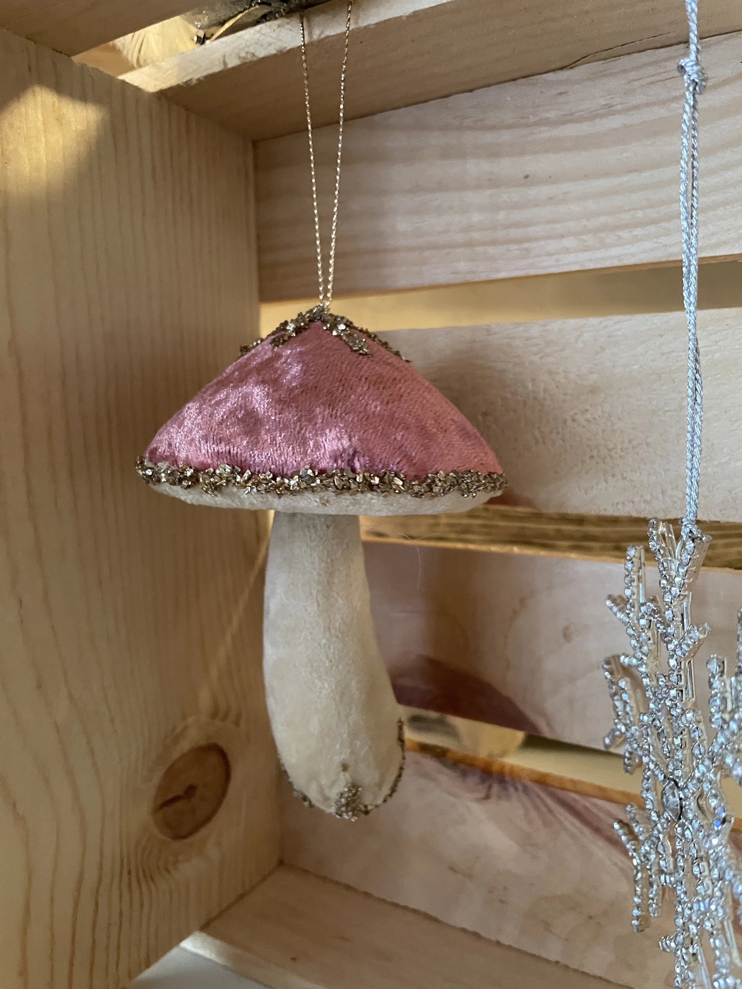 pink mushroom ornament.jpeg