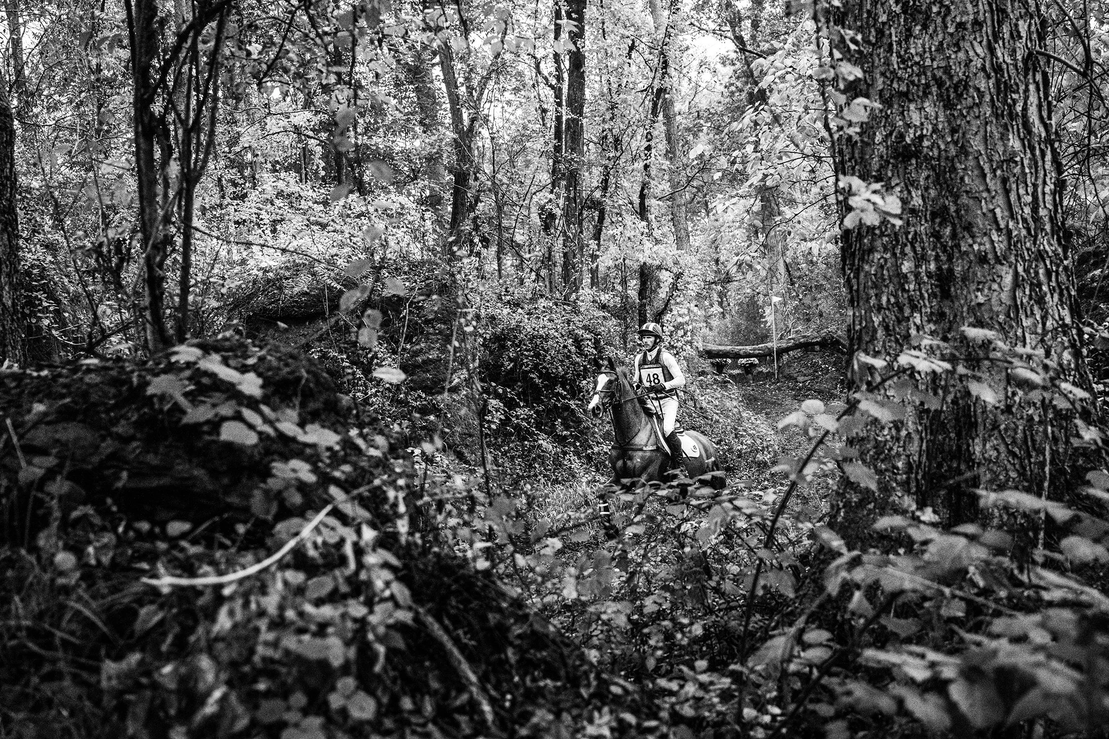 EDITS_Morven_Oct2023-web-1946.jpg