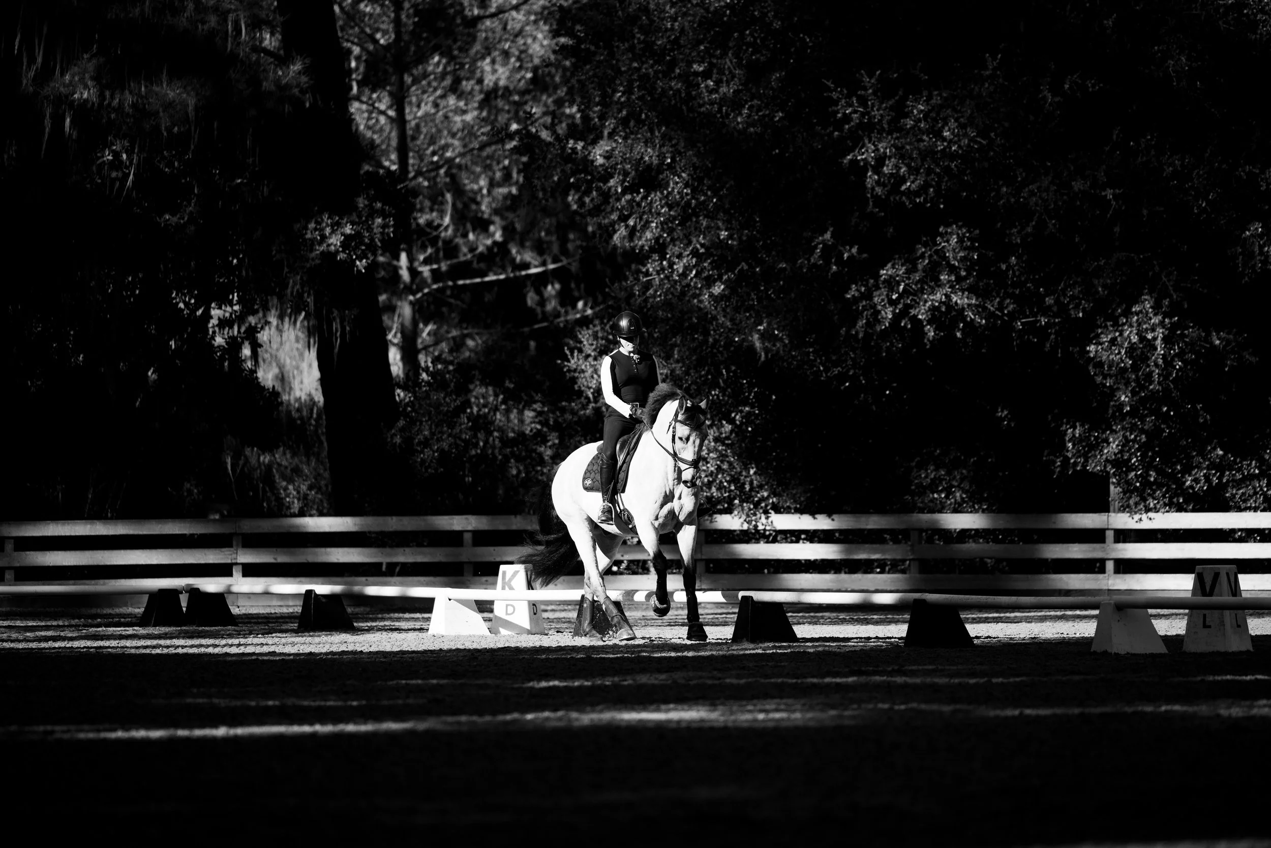EDITS_LaurenBillysShady_ABP_Oct2025-3455.jpg