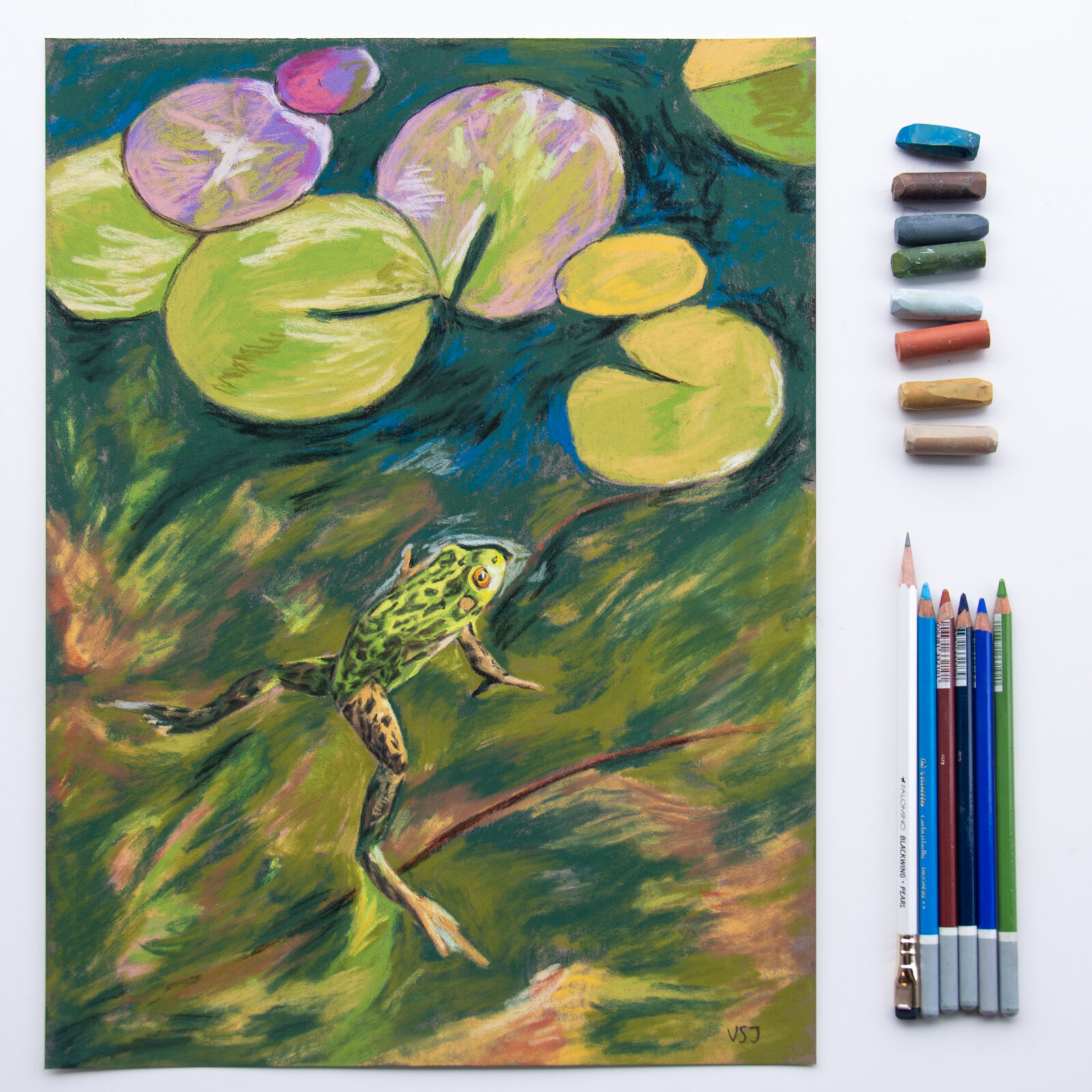 Frog70-3.jpg