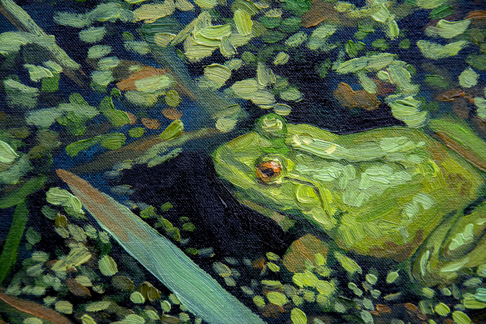 frog100edit.jpg