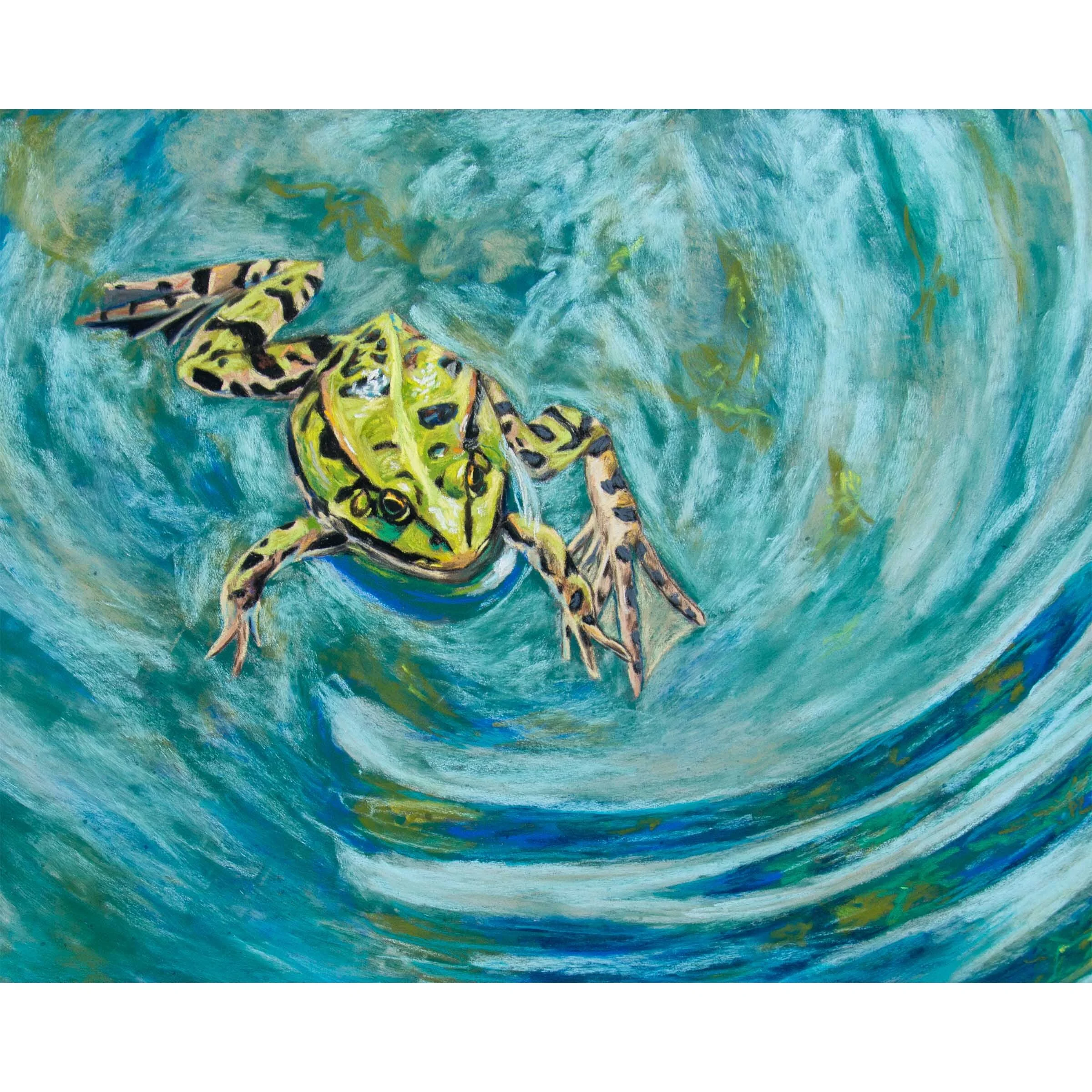 frog99.jpg