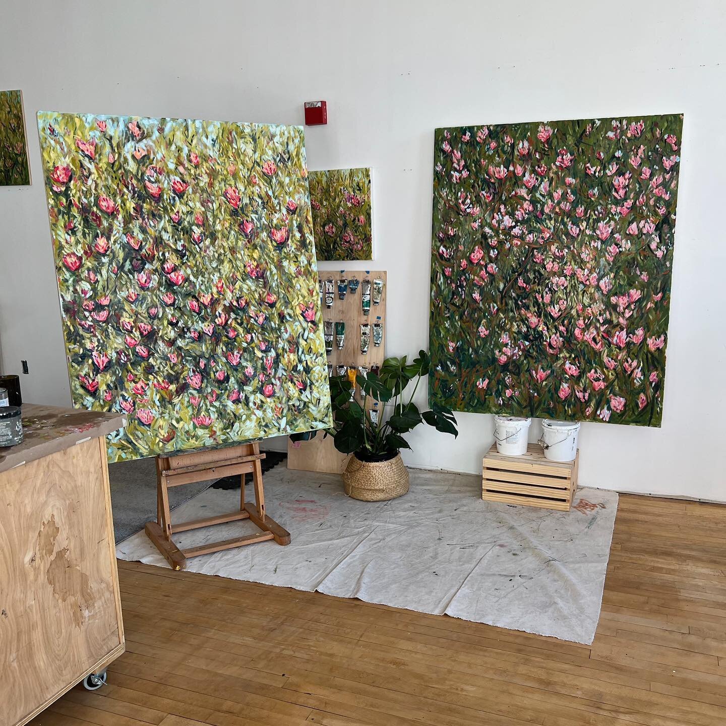 Two new paintings 🤗 so fun to bring the fields of flowers up to a more immersive larger scale. I&rsquo;ll be posting more photos of each soon! These are available now at @walkerfineart
