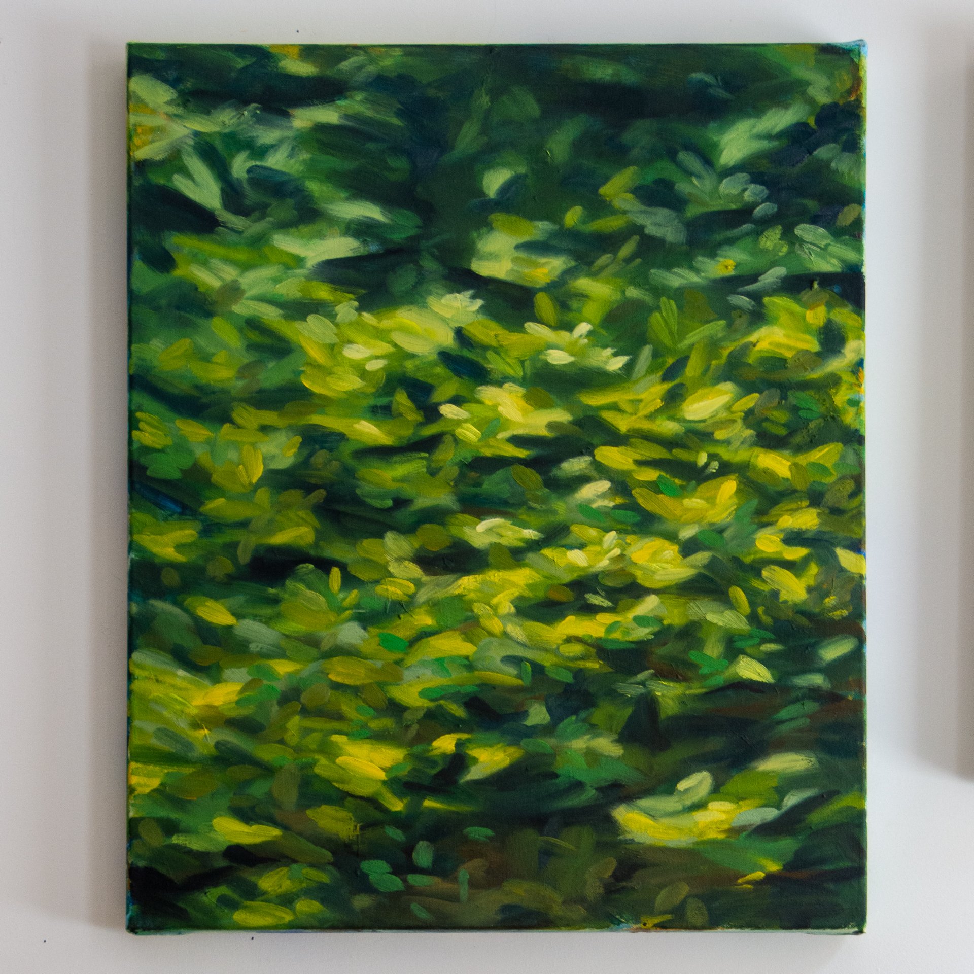 20x24, OverheadGlow-23-04-03-vsj-.jpg