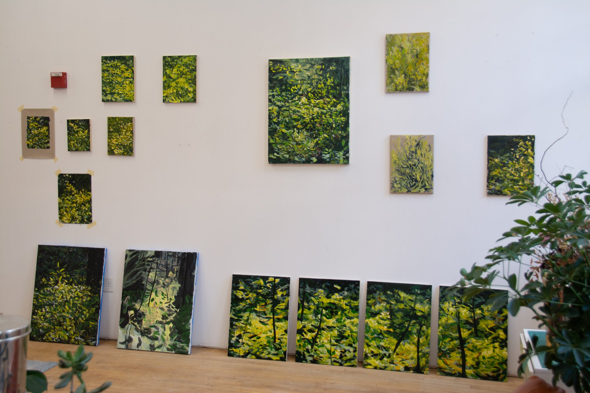 24x30, TreadSoft-23-01-13-vsj-.jpg