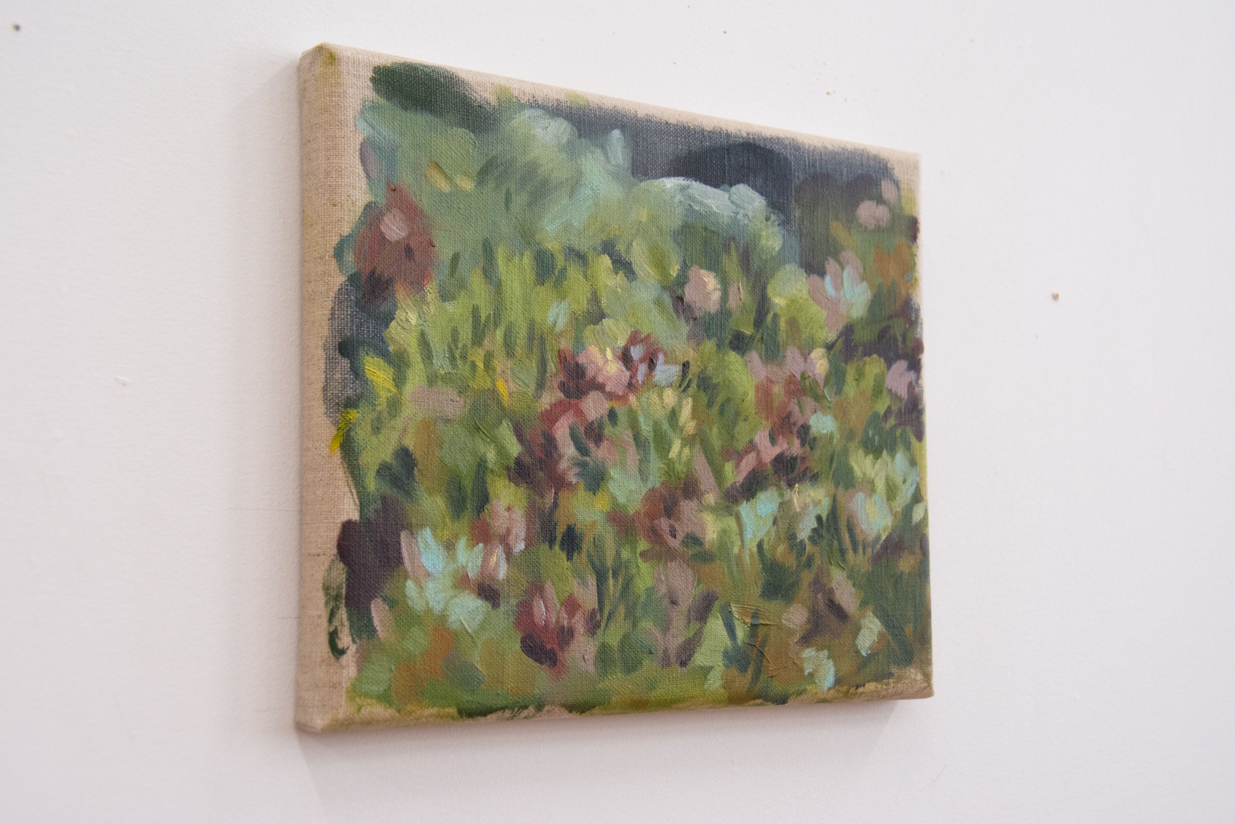 23-sep24, Dusk Bloom-studio-vsj-2.jpg