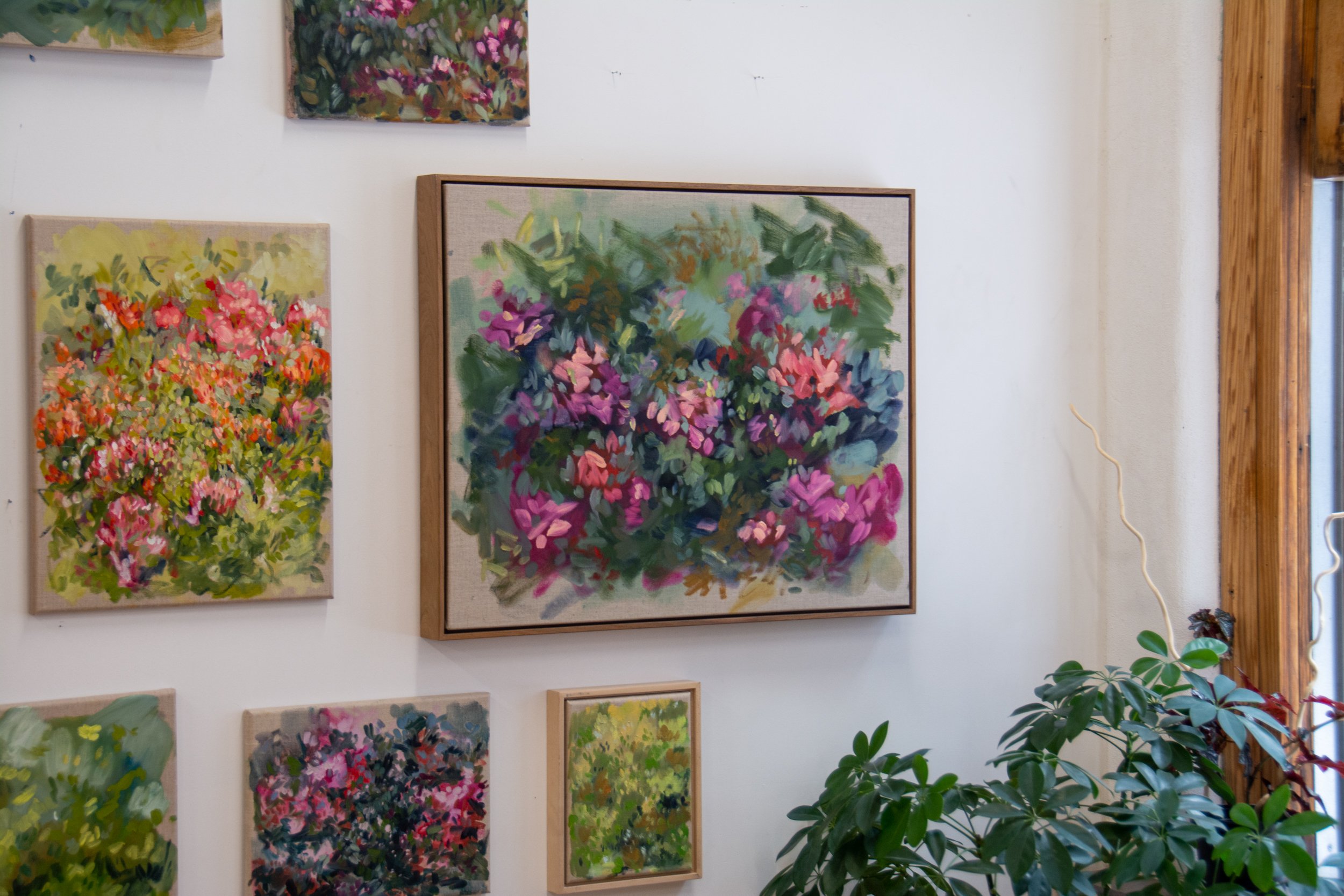 1-EmergedAnew-UnknownFlower-studio-vsj-5.jpg