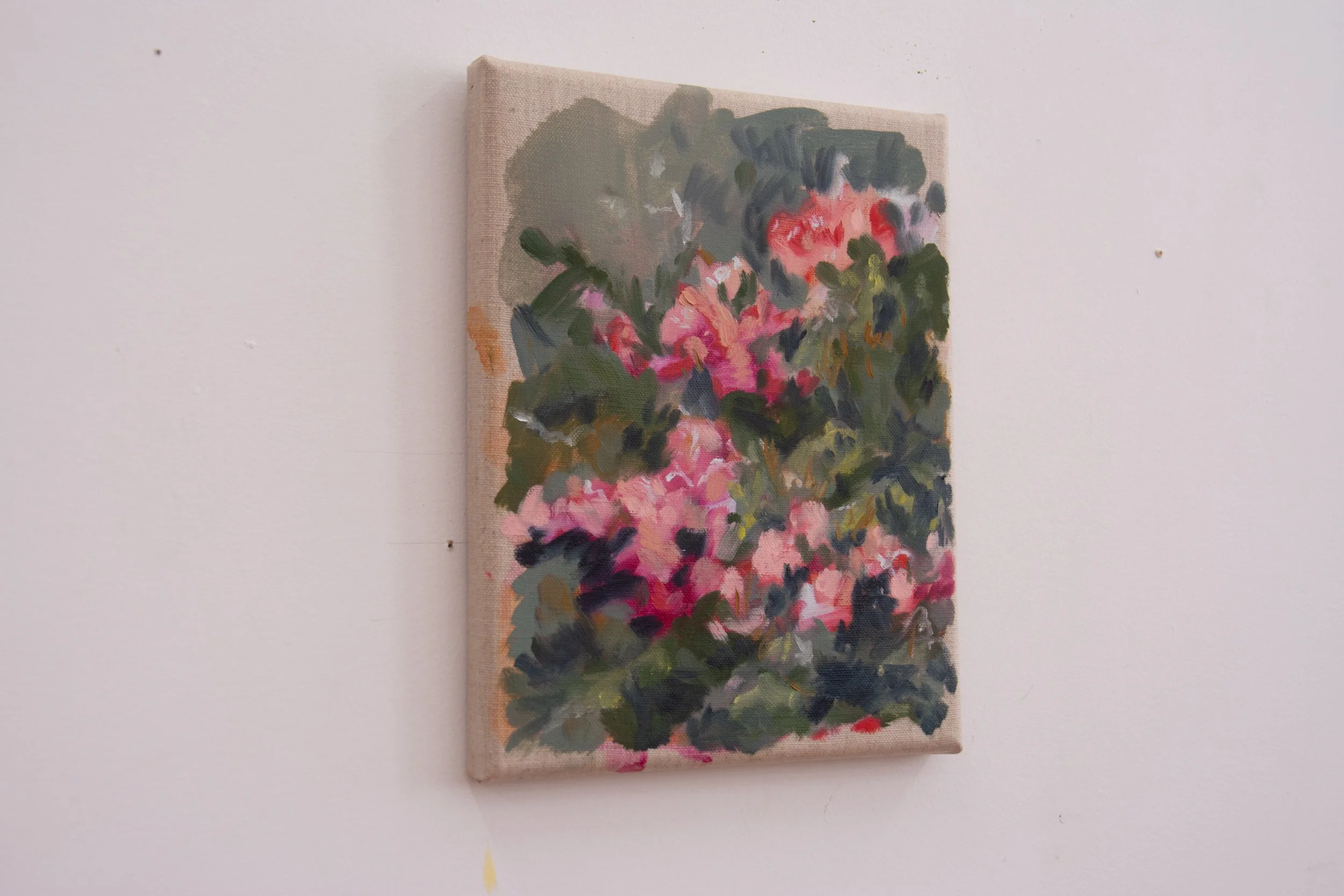 21-sep24, Thriving-studio-vsj-2.jpg
