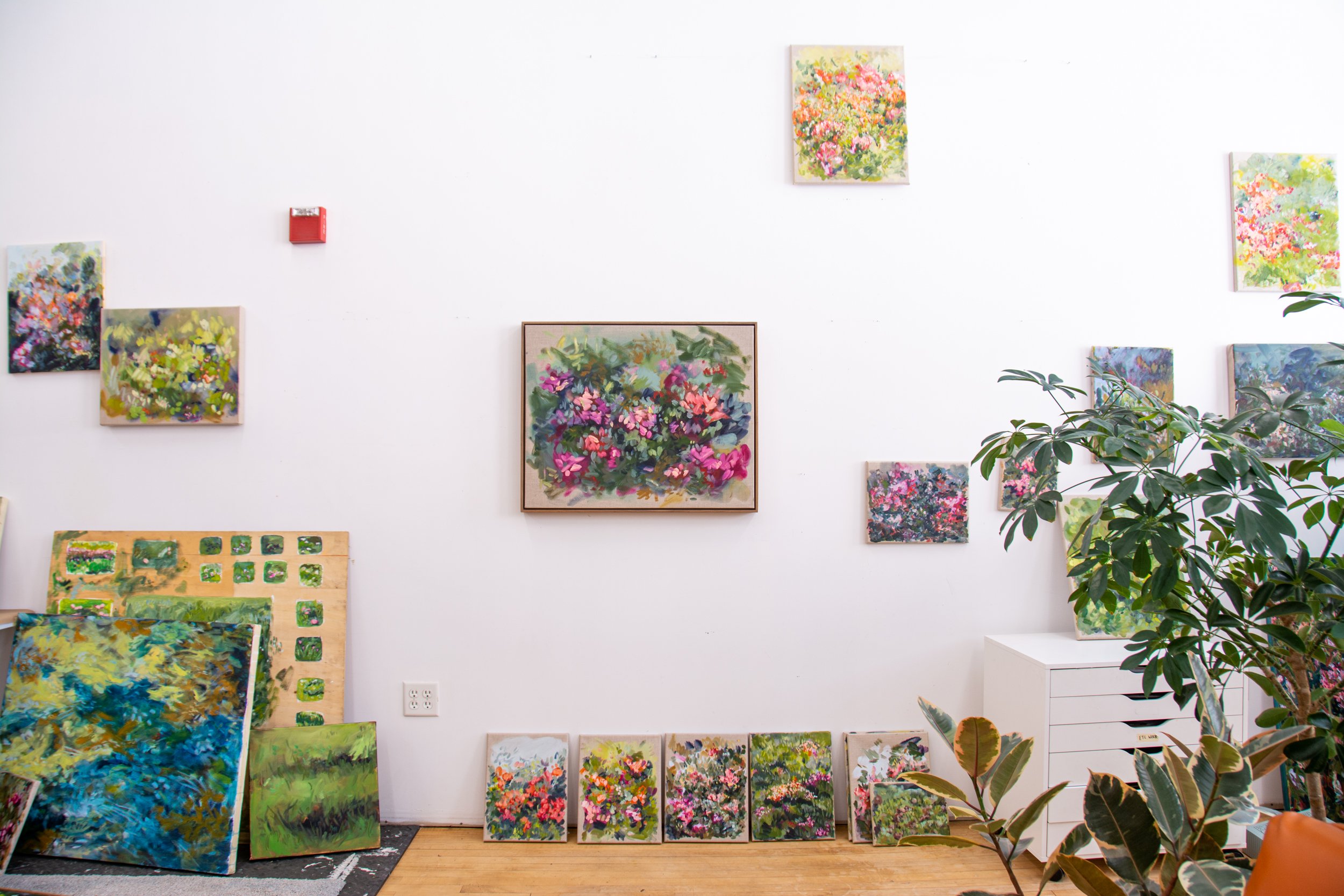 1-EmergedAnew-UnknownFlower-studio-vsj-9.jpg