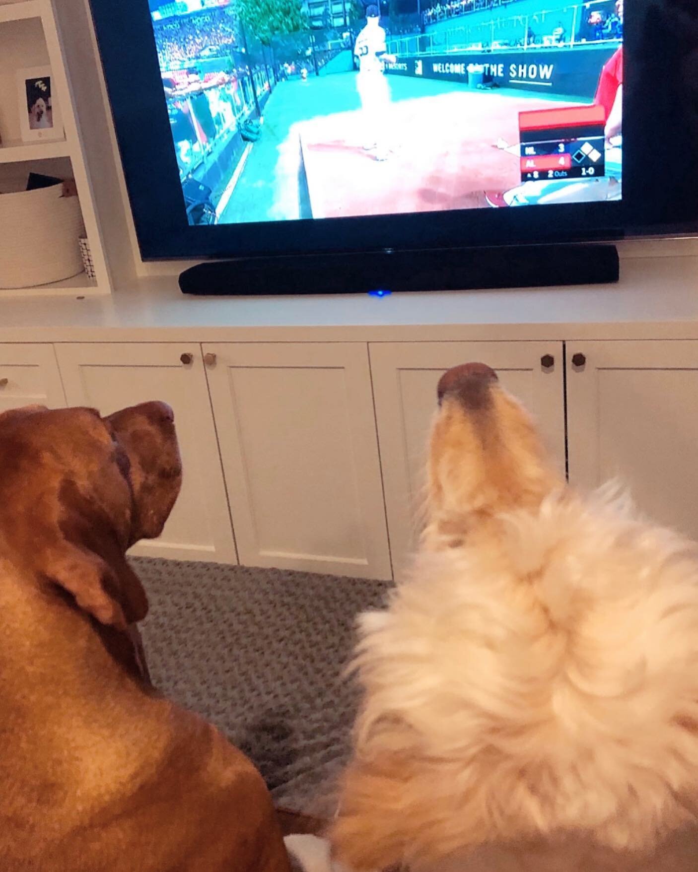 Want a little 🧡Paws of Houston💙 pet sitting trivia?!🤓
Which sports team has Paws of Houston *NOT* had a pet parent play for? Put your guesses in the comments👇🏼and we&rsquo;ll tell you the answer later today!
P.S. We ALWAYS have the game on so yo