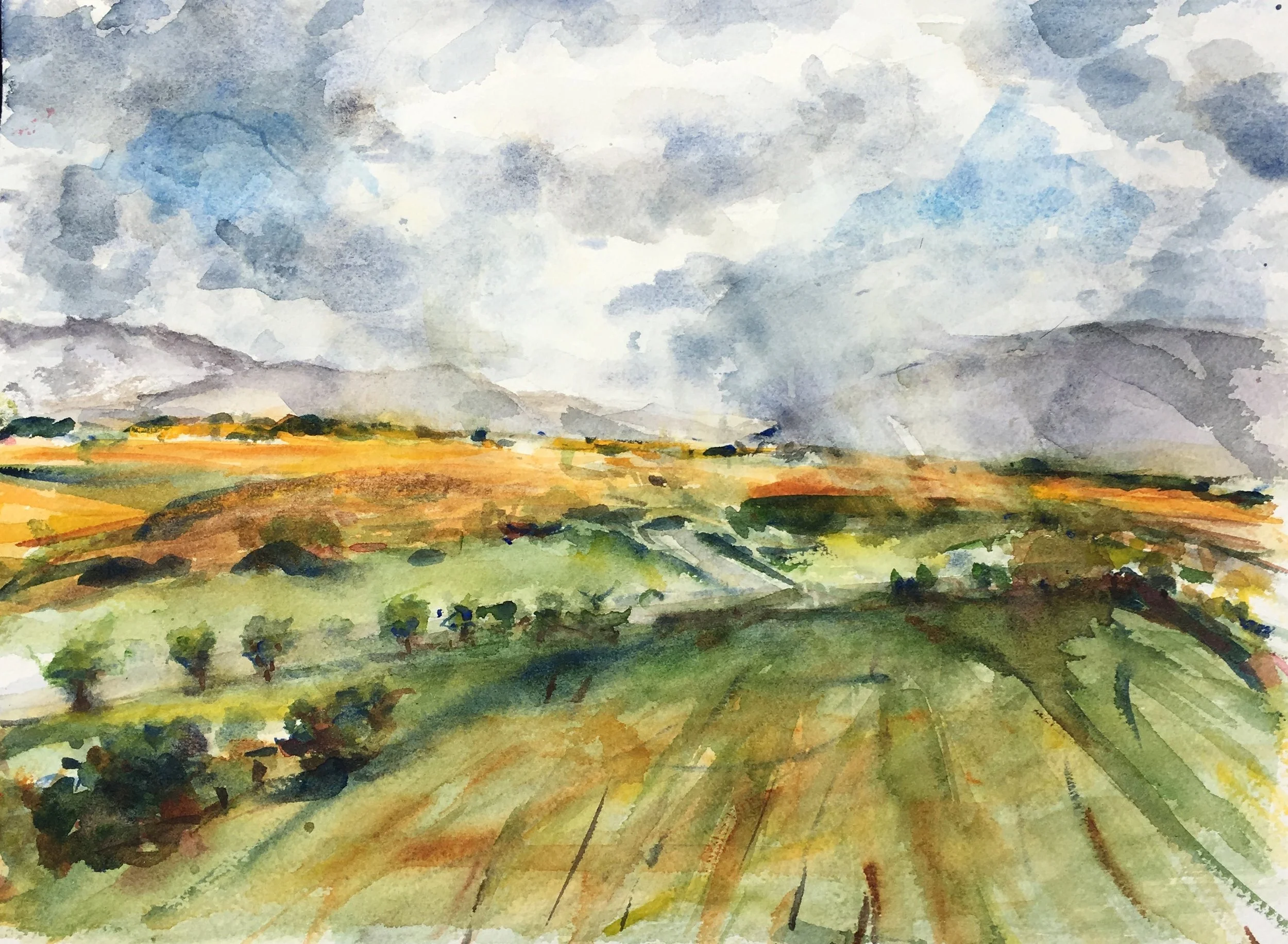 IMG_7707 - maureen vastardis.jpeg