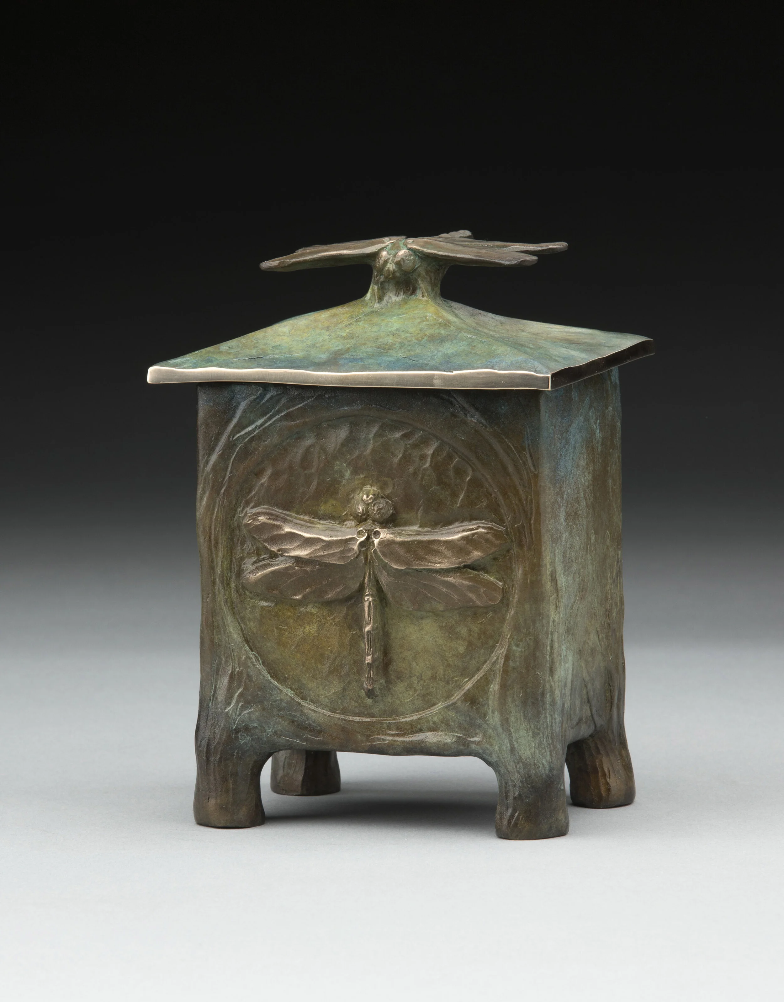 DragonFlyVessel_JimMoore_thm.jpg
