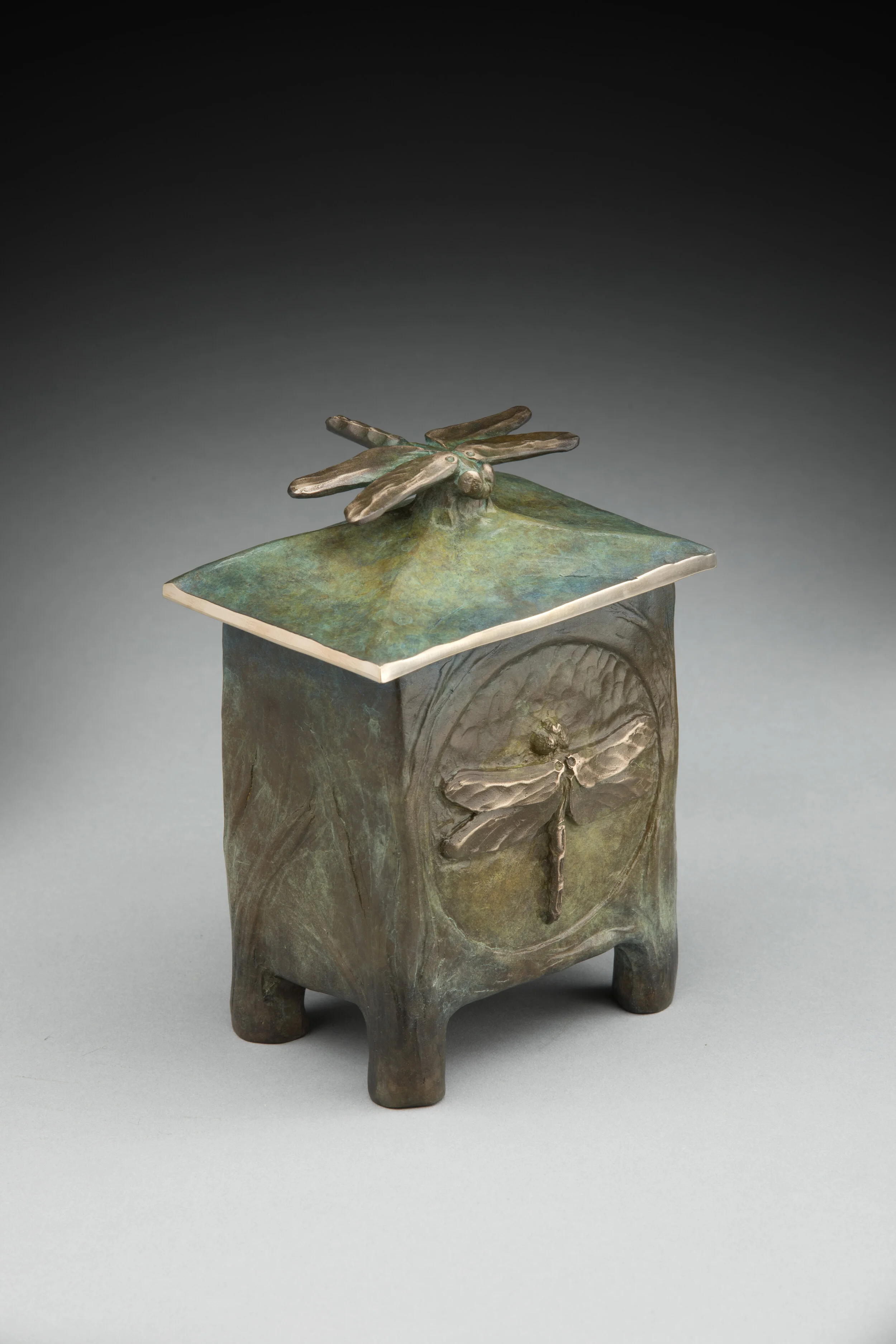 DragonflyVessel_JimMoore_3.jpg