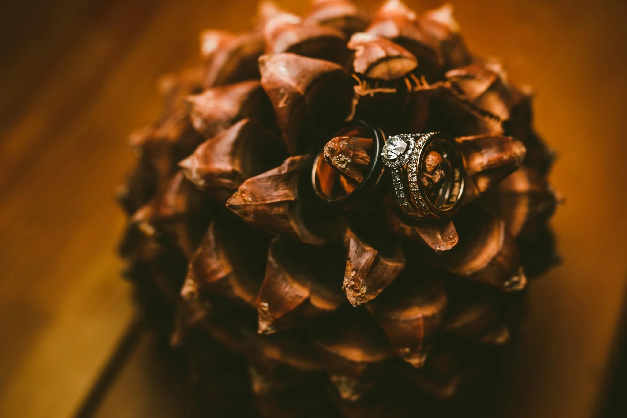 Nectar Winter Wedding (195).jpg