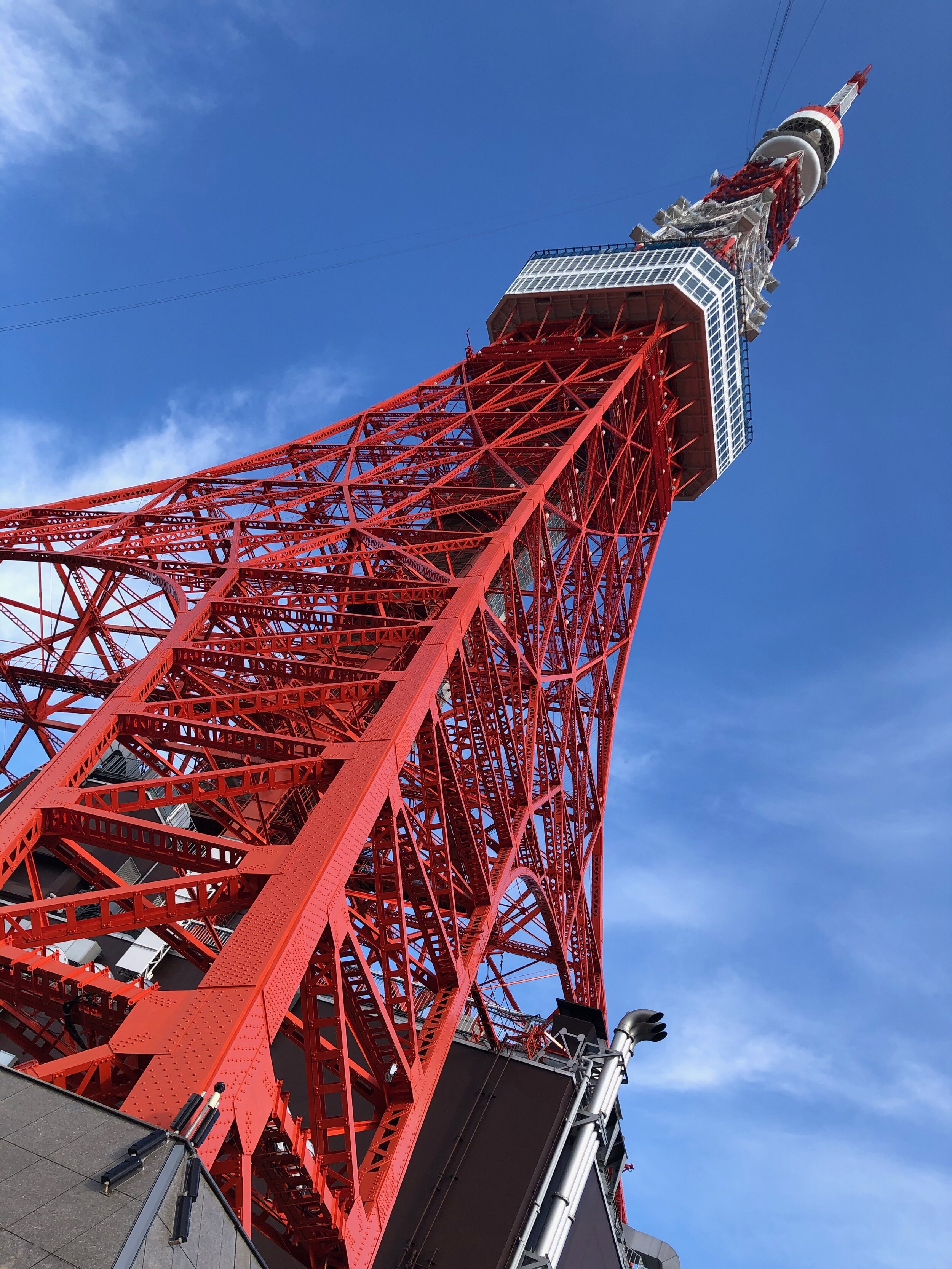 IMG_2367.jpeg