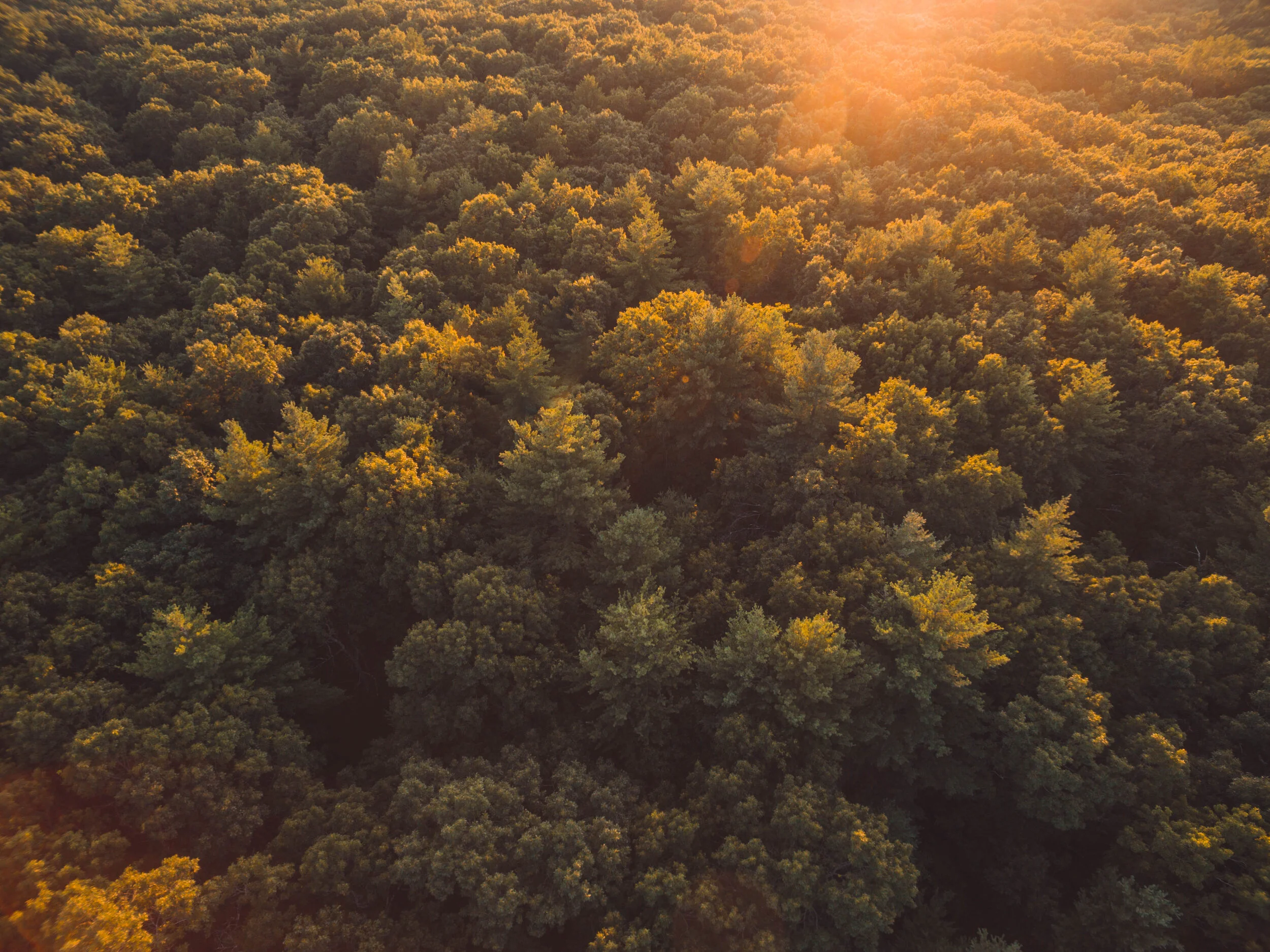 DJI_0006.jpg