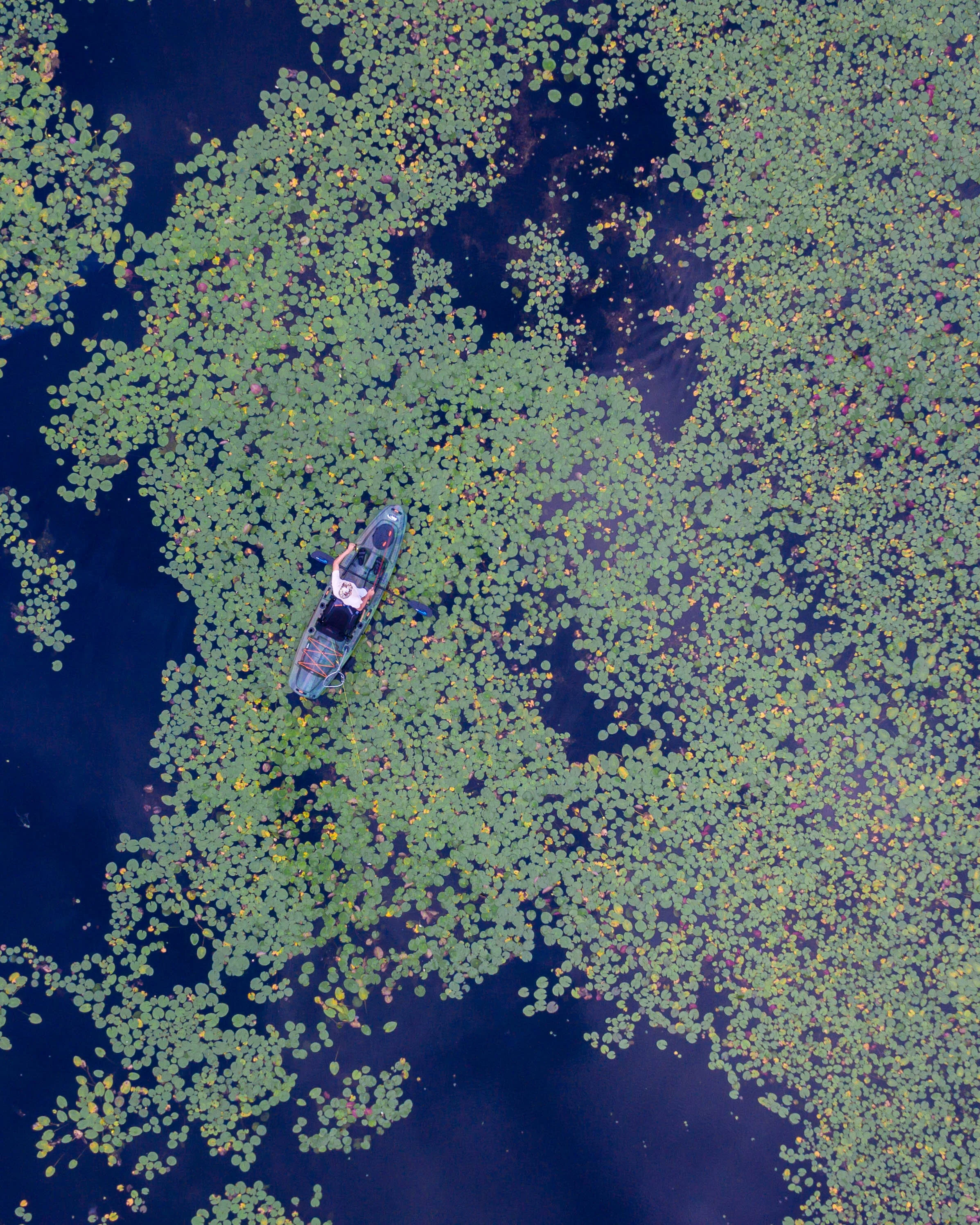 DJI_0005-2.jpg