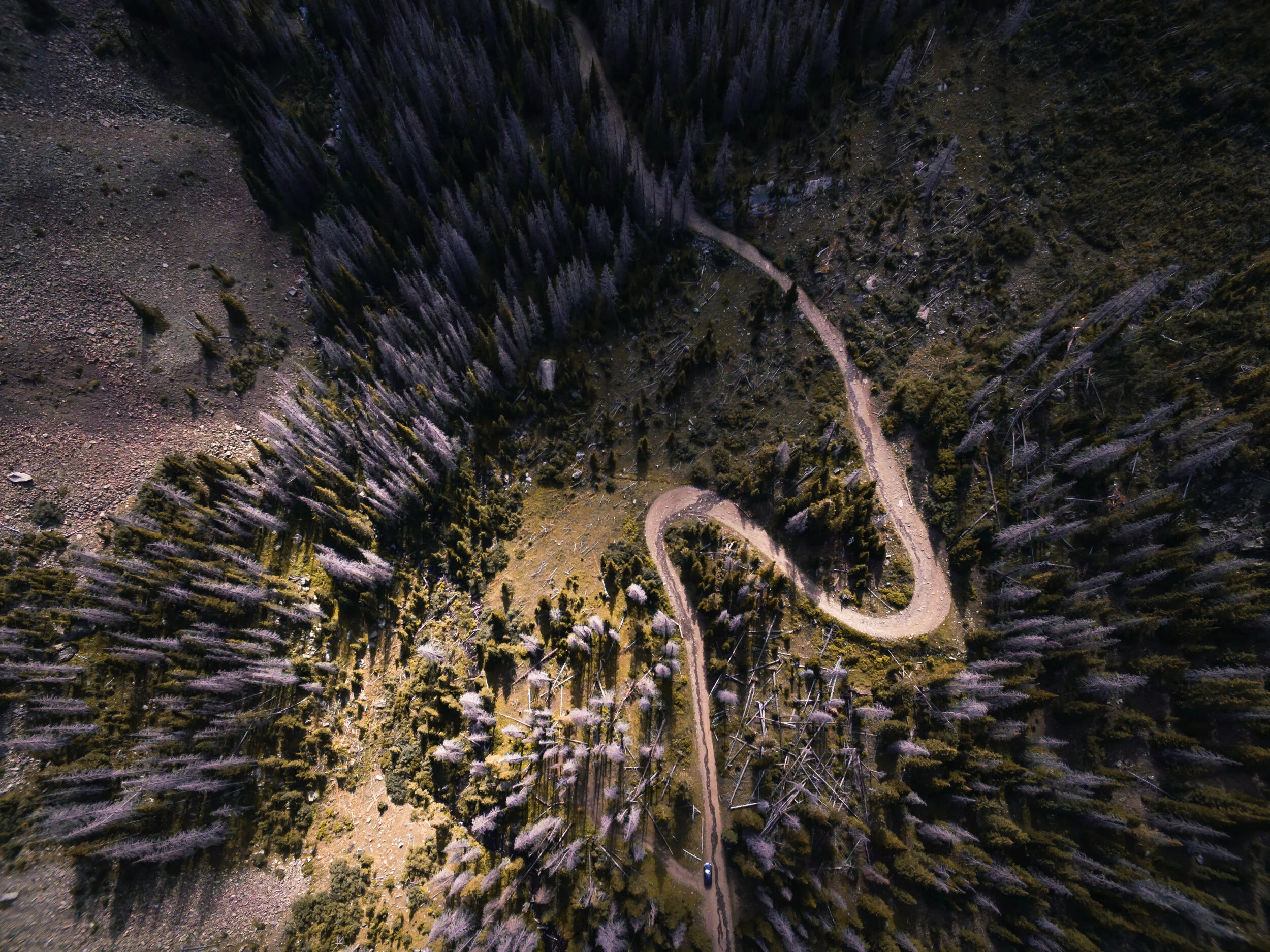 DJI_0165.IG.jpg