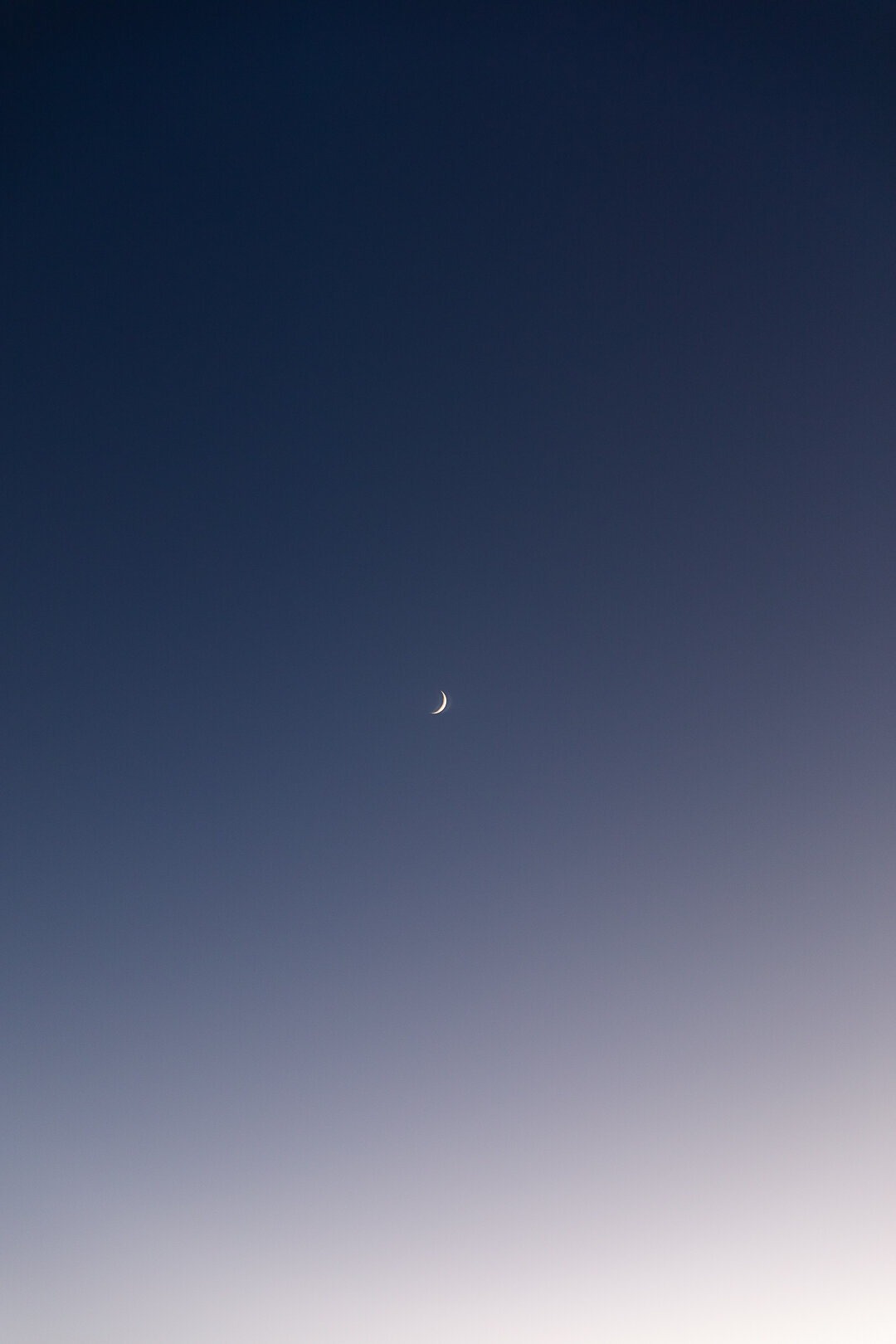 0K0A1460.IG.jpg
