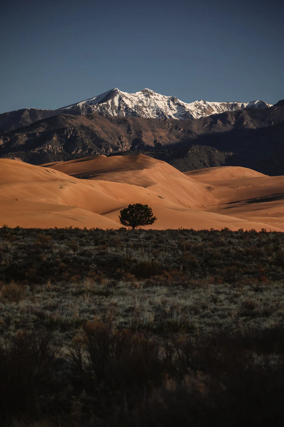 Dunes1.jpg