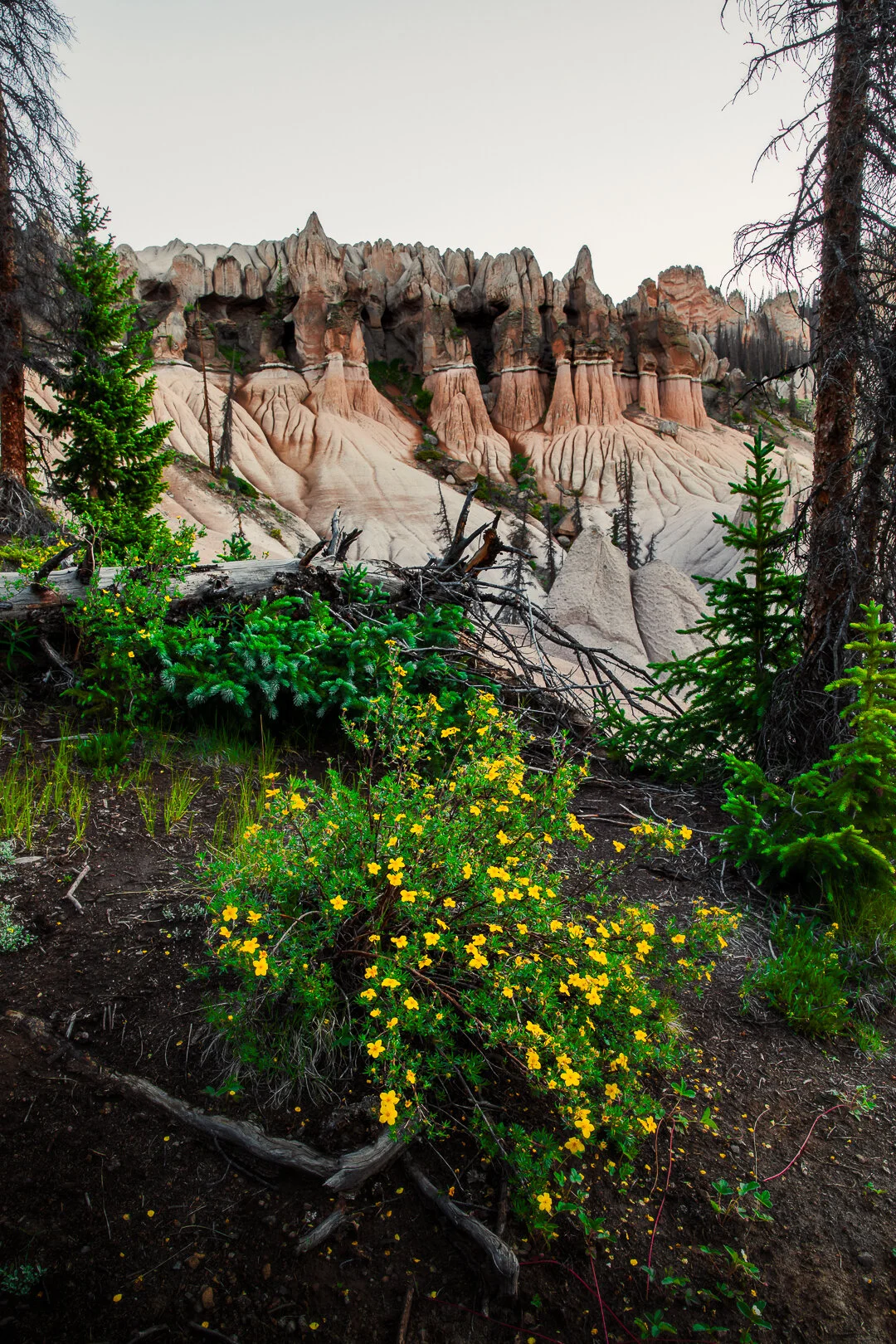 0K0A3229-HDR-Edit.IG.jpg