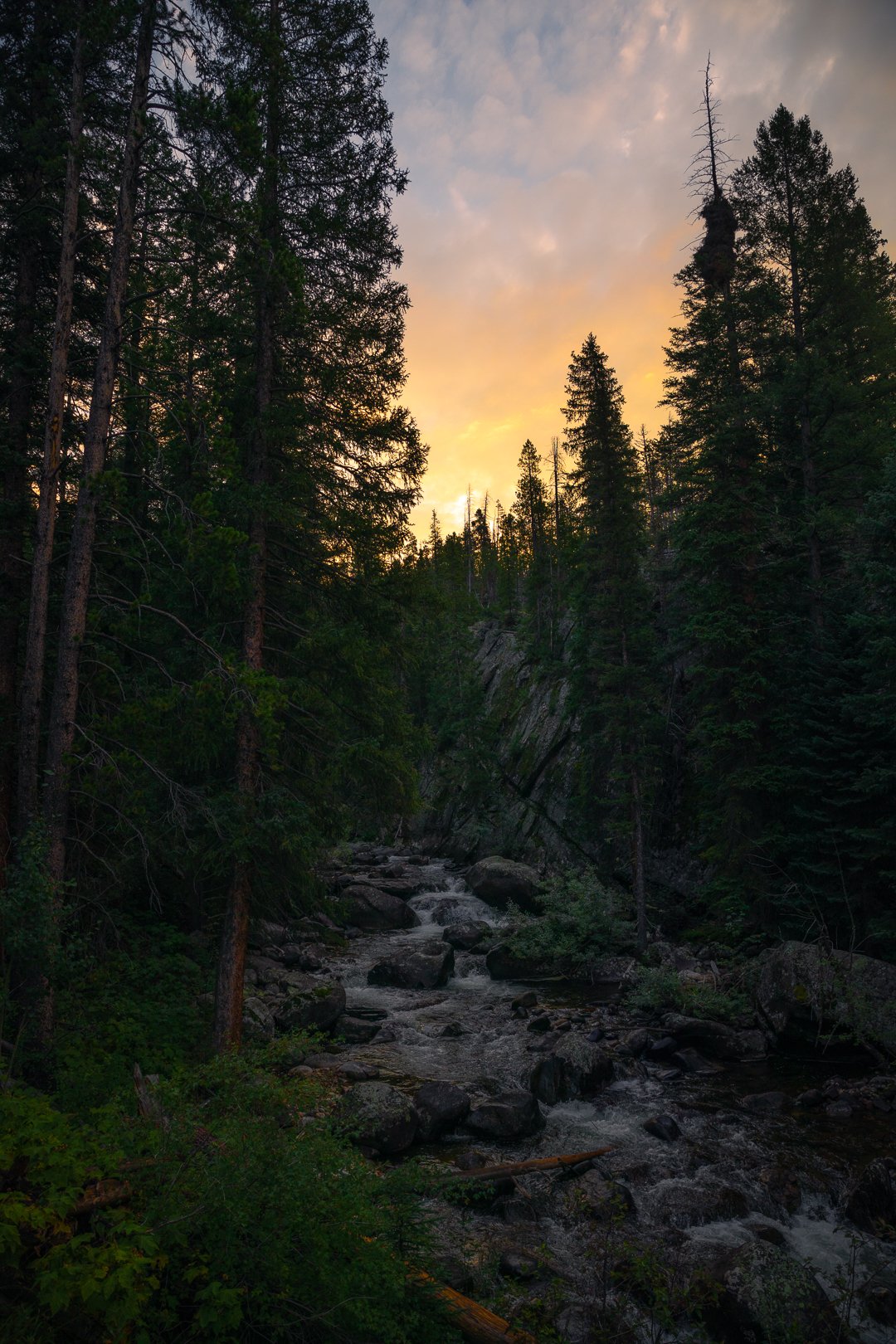 0K0A4966-Edit.IG.jpg