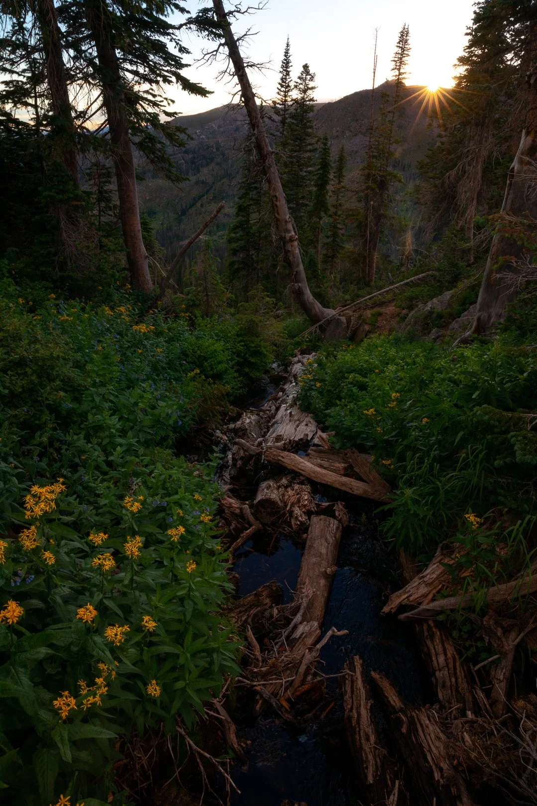 0K0A4491-Edit.IG.jpg